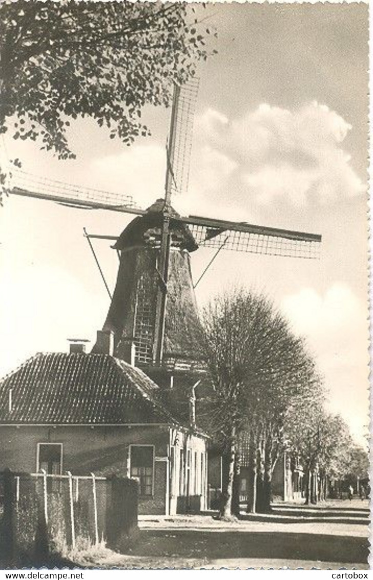Hollands Molenlandschap (Hoogeveen Volgens Aantekening Op De Adreszijde)  (ml 34) - Hoogeveen