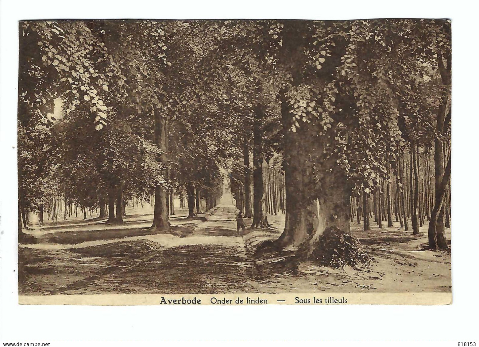 Averbode  Onder De Linden  -  Sous Les Tilleuls (toestand Zie Scans) - Scherpenheuvel-Zichem