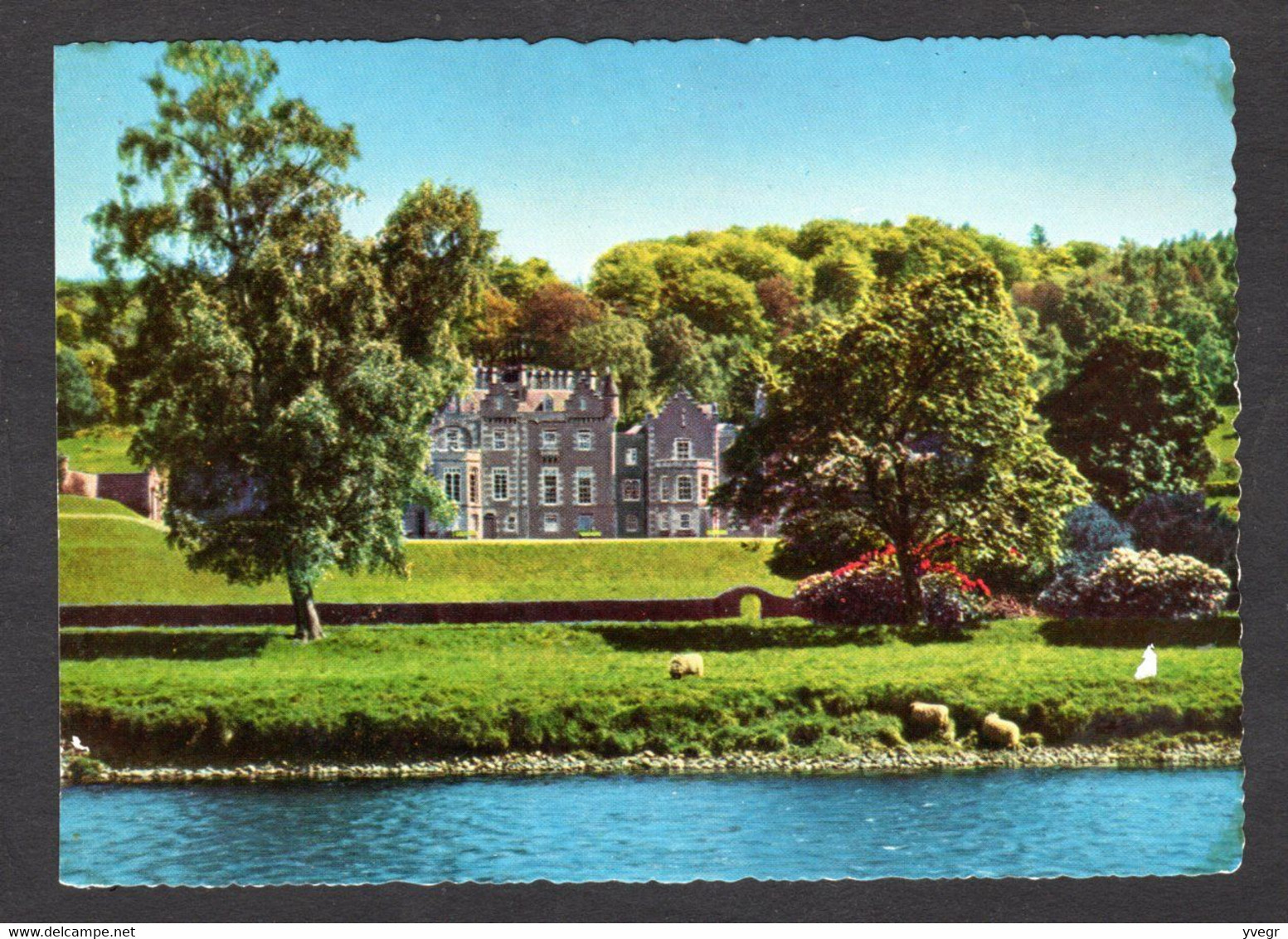 Ecosse - ABBOTSFORD From The TWEED - Abbotsford, Built And Lived In By Sir Walter Scott- Le Château ( N° C.290) - Roxburghshire