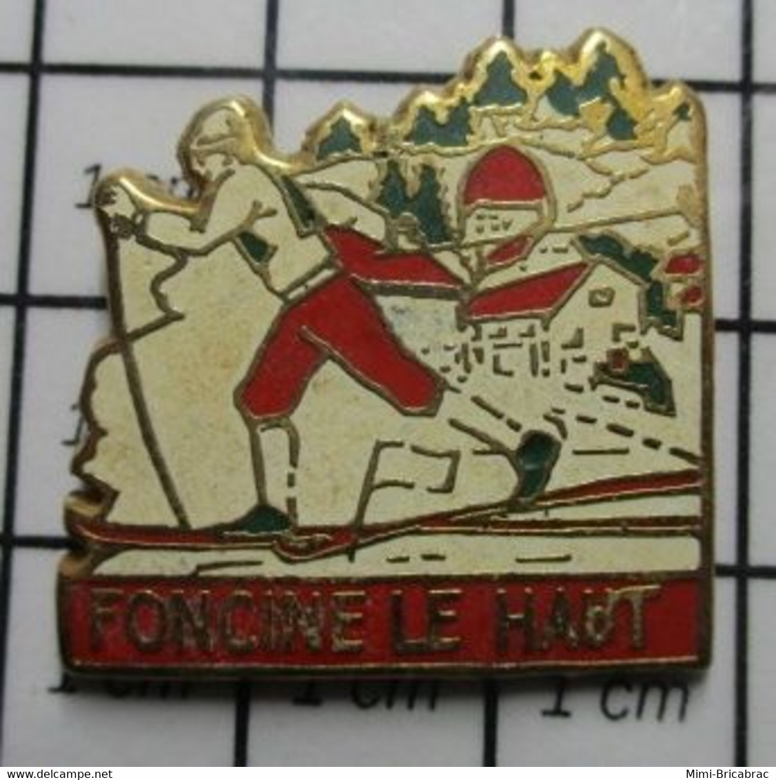 810i Pin's Pins / Beau Et Rare / SPORTS / SKI DE FOND FONCINE LE HAUT Par ALCARA - Sports D'hiver