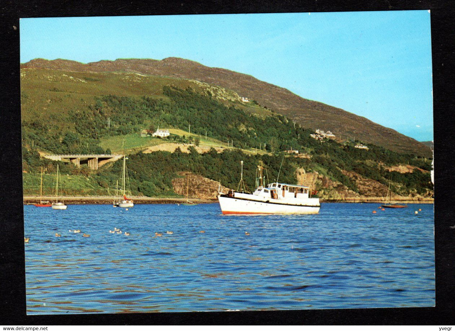 Ecosse - " M.V. Etive Sheerwater" Ullapool, Ross-shire - Beau Bateau , Vedette (A. Dixon N°85920) - Ross & Cromarty