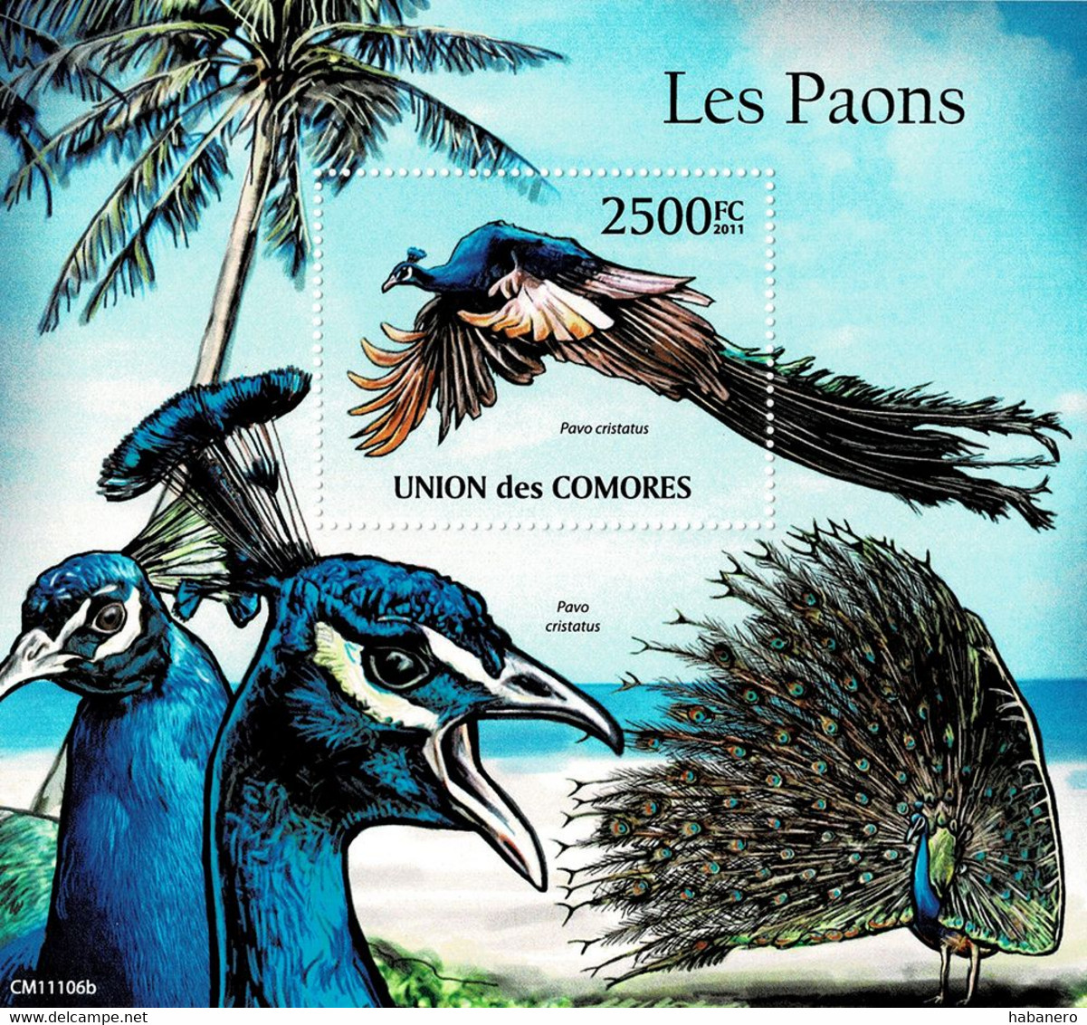 COMOROS ISLANDS 2011 Mi 627 BIRDS INDIAN PEACOCK PEAFOWL MINT MINIATURE SHEET ** - Pauwen