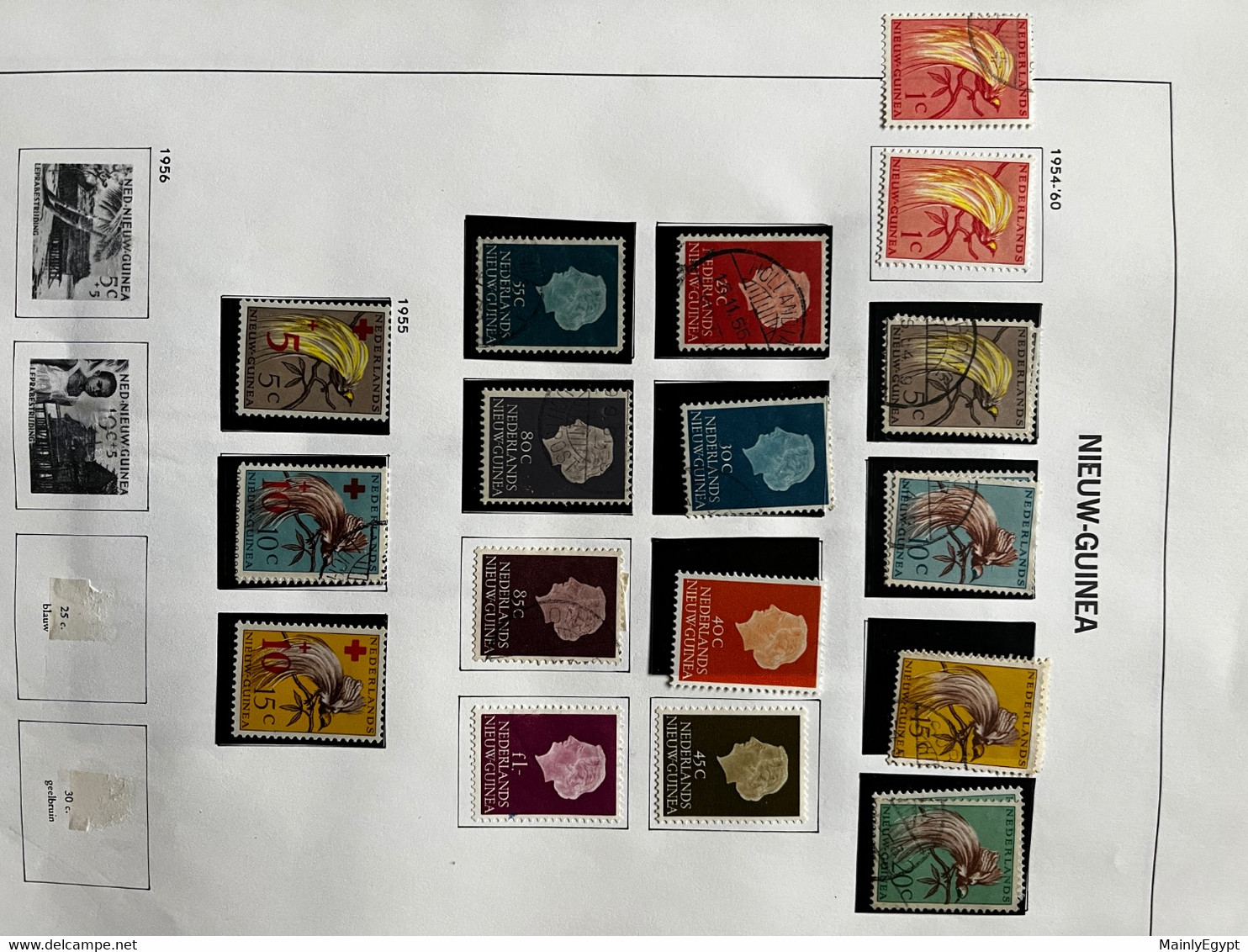 DUTCH NEW GUINEA: Good Collection On DAVO Album Pages (no Shipping Costs) - Netherlands New Guinea