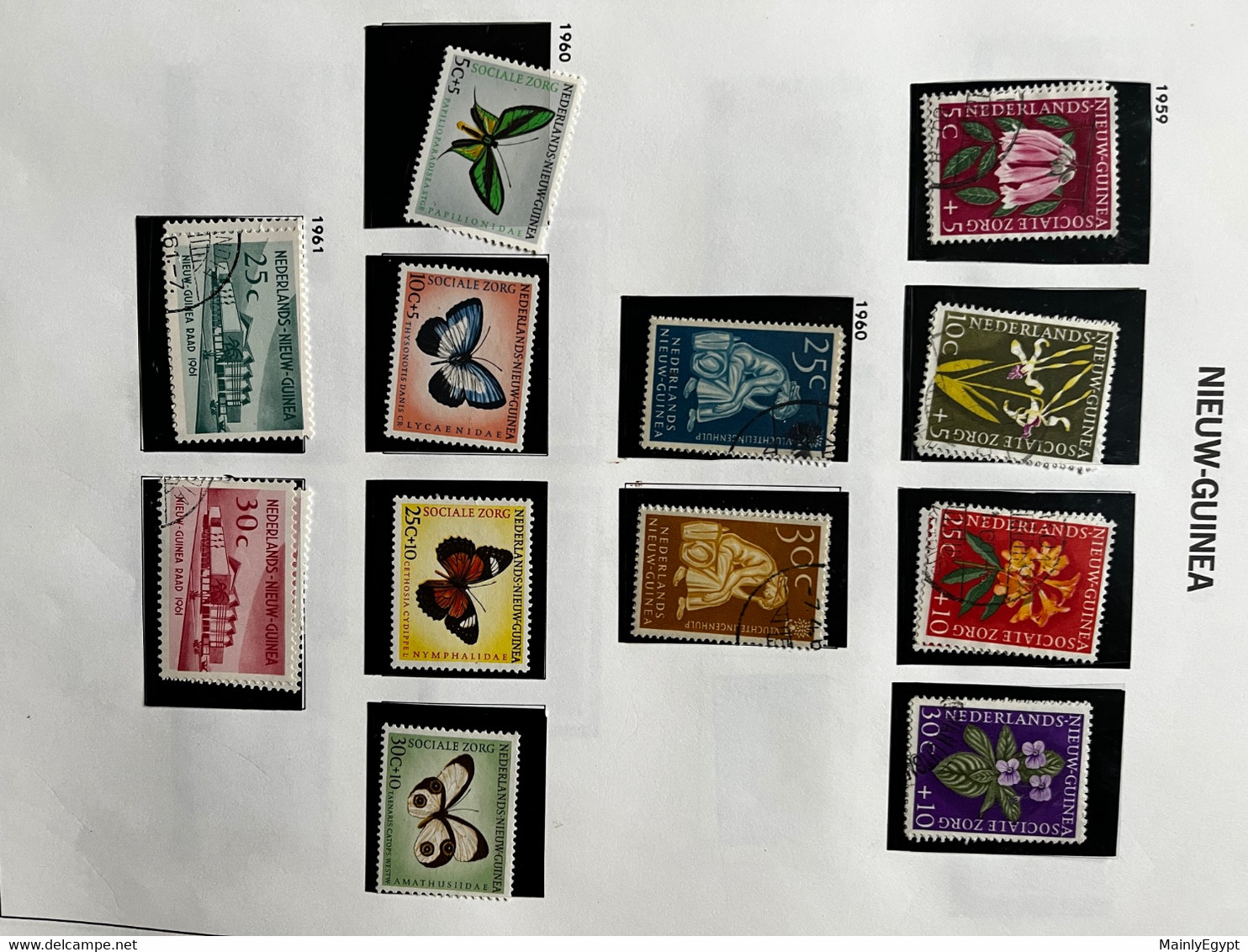 DUTCH NEW GUINEA: Good Collection On DAVO Album Pages (no Shipping Costs) - Netherlands New Guinea