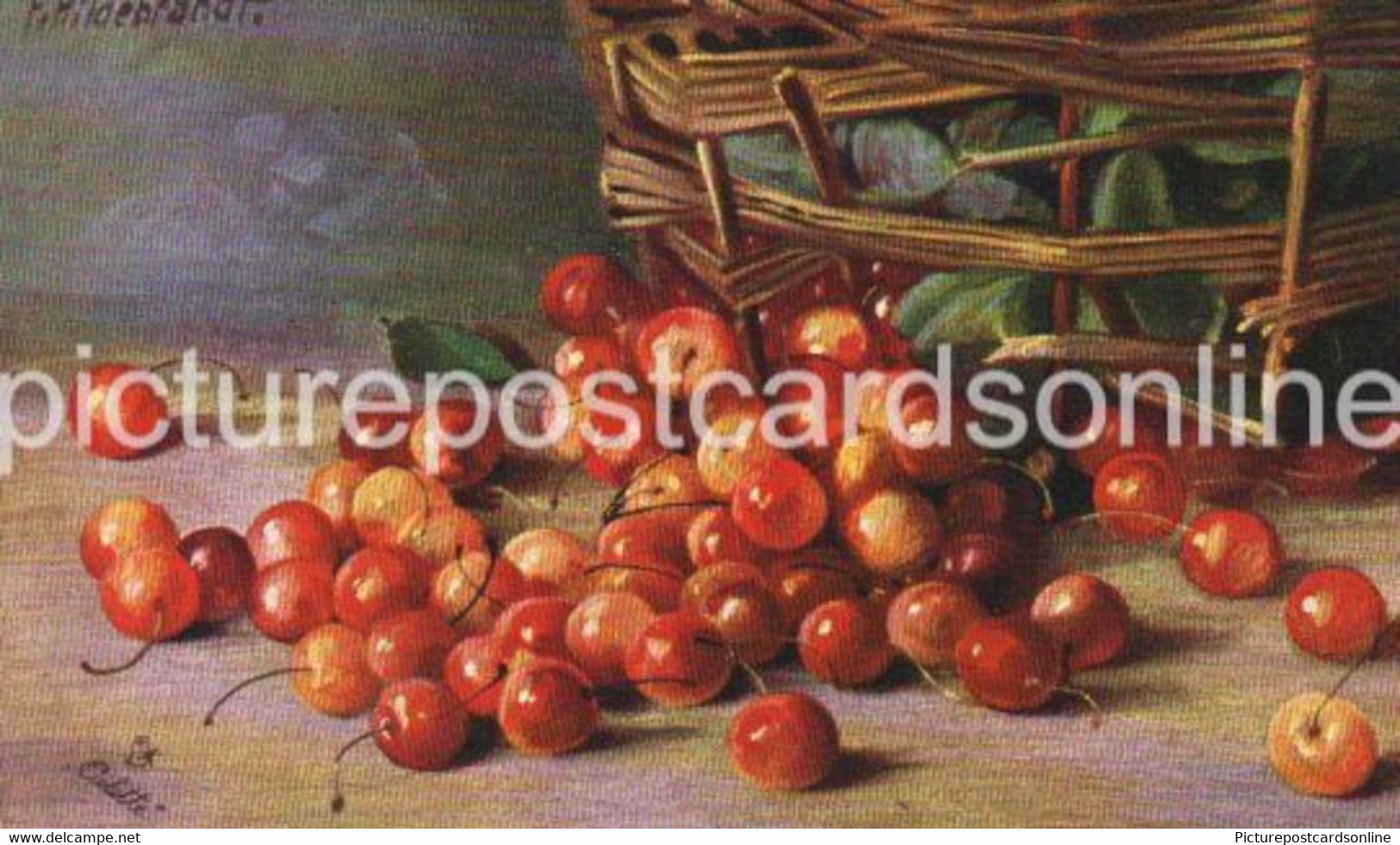 Red/ Yellow Cherries In Front Of Baskets Old Colour Art Postcard Tuck Oilette 9836 CHERRY RIPE - Other & Unclassified