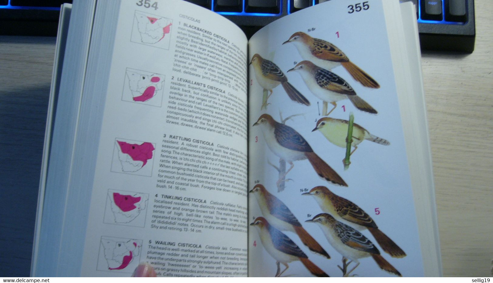 Newman's Birds Of Southern Africa - Animales