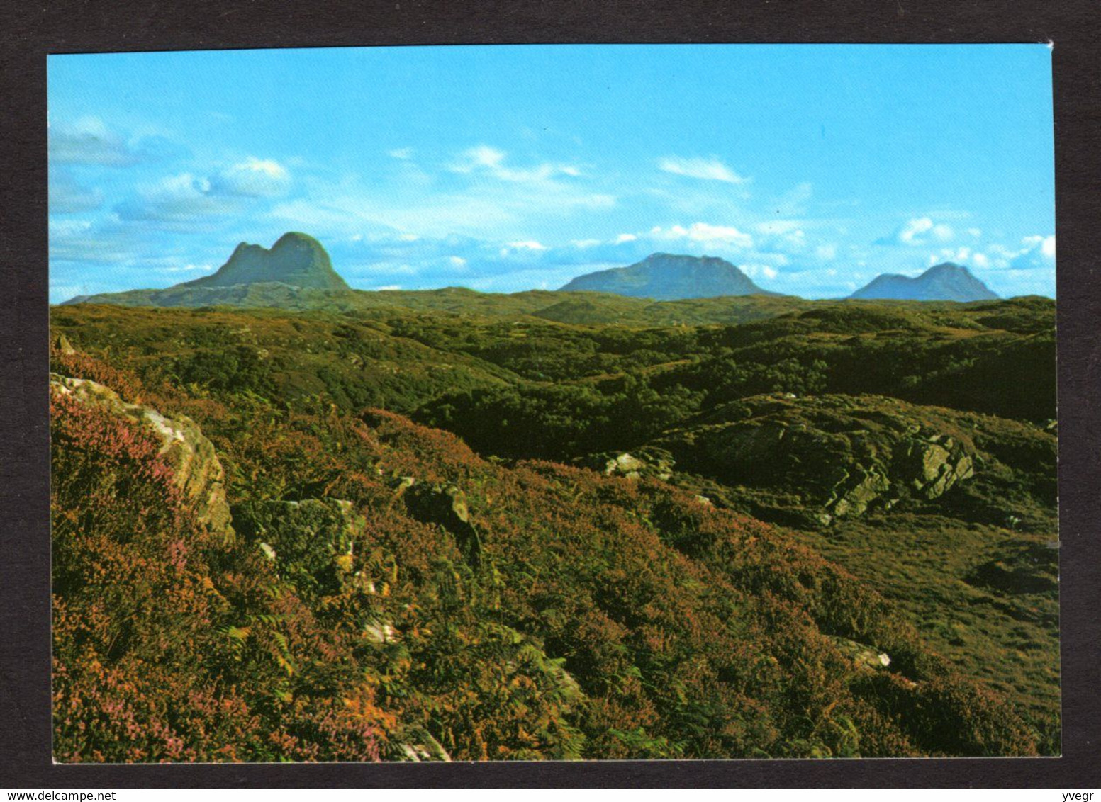 Ecosse - Sutherland - Looking Over The Hills To Suilven, Cul Mor, And Cul Beag( A. Dixon N° 24200) - Sutherland