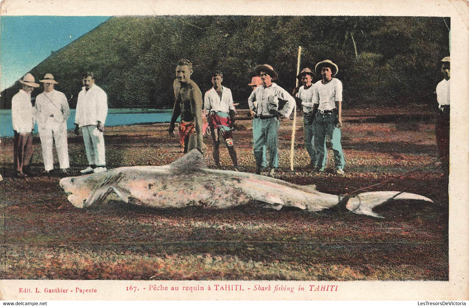 CPA TAHITI - Peche Au Requin à Tahiti - Shark Fishing - Edition Gauthier N°167 - Animé Et Colorisé - Rare - Tahiti
