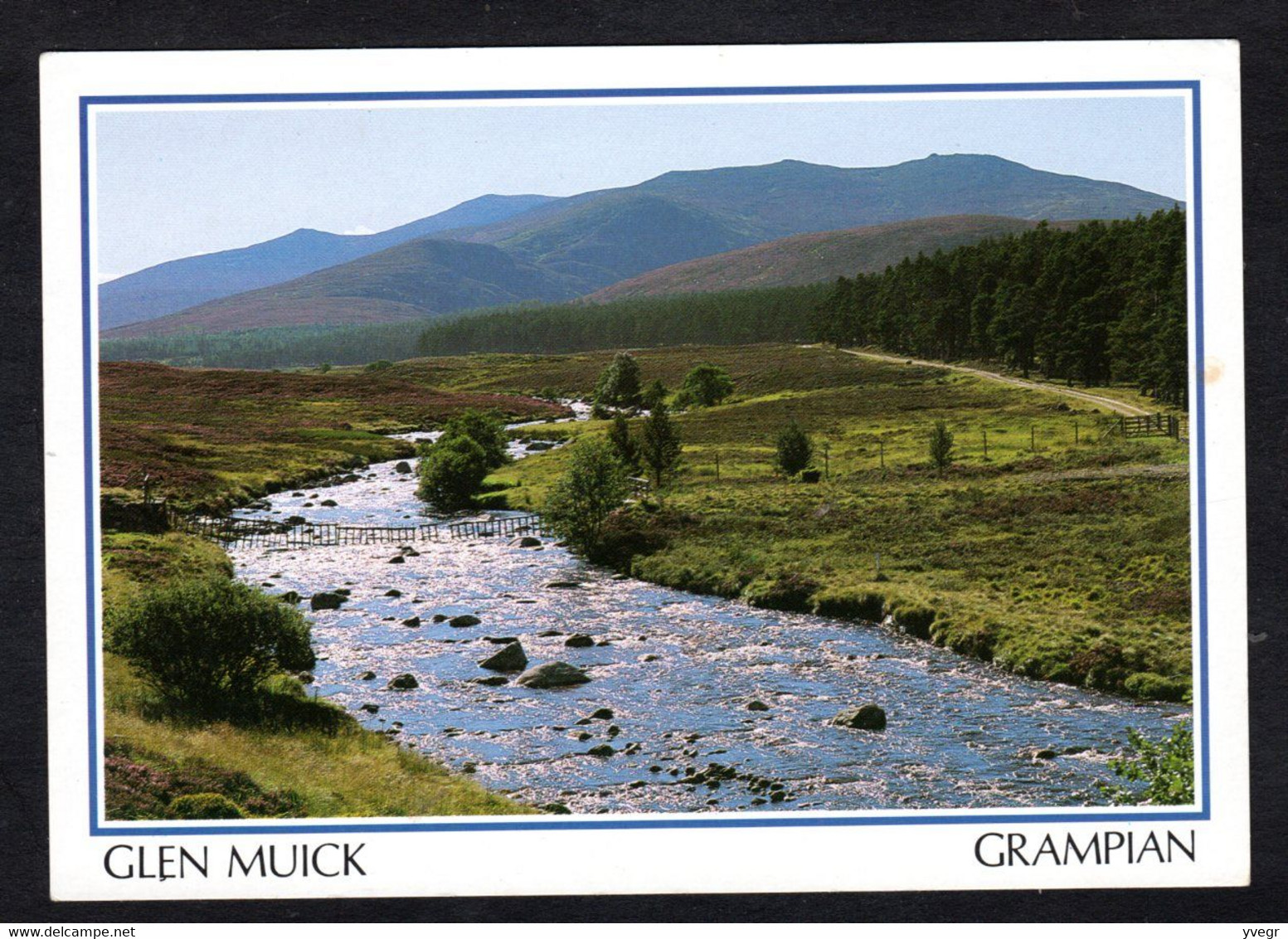 Ecosse - GLEN MUICK And River  - GRAMPIAN - Passerelle Ou Pont De Singe ( PIN N° 26522) - Aberdeenshire