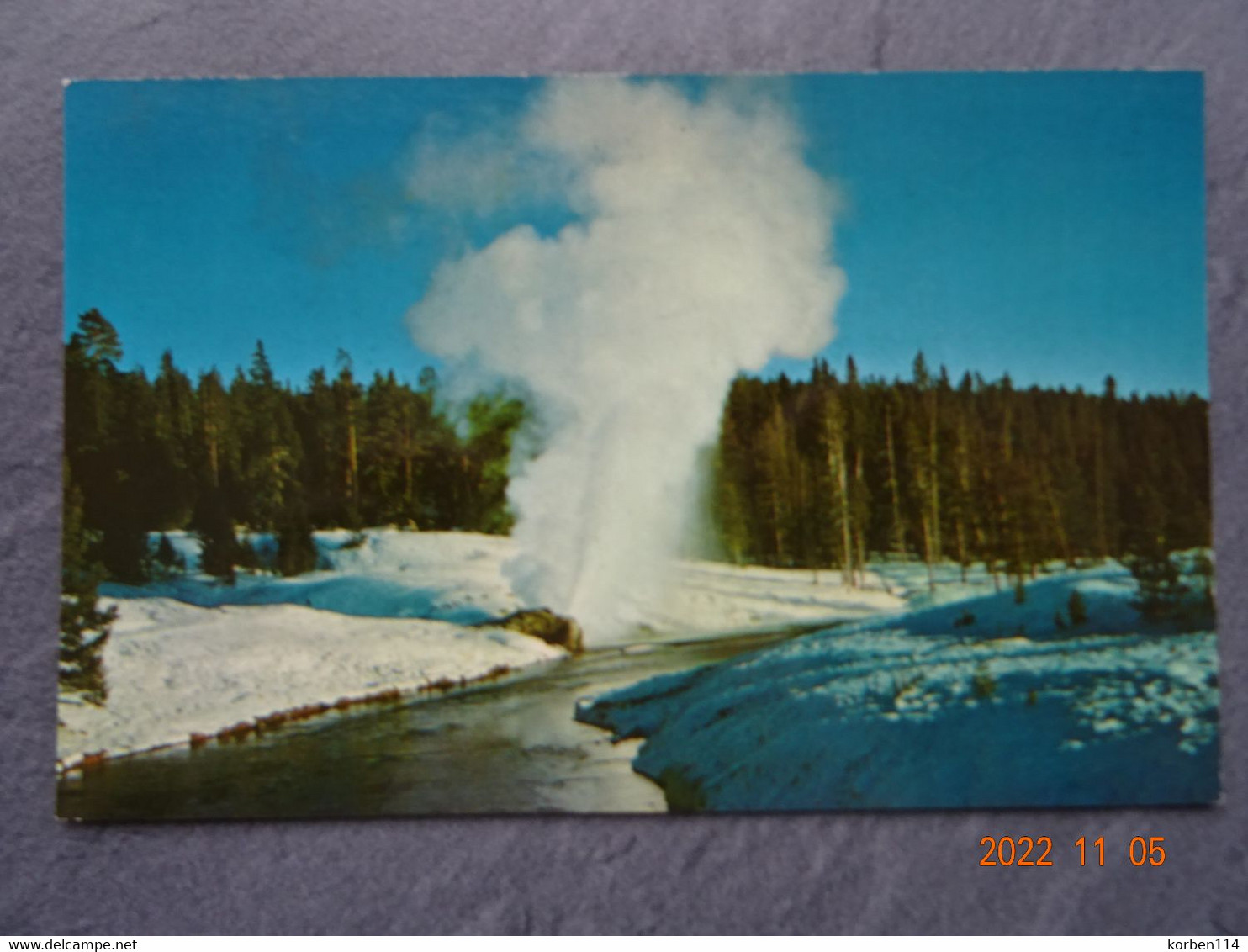 RIVERSIDE GEYSER  YELLOWSTONE NATIONAL PARK - Yellowstone