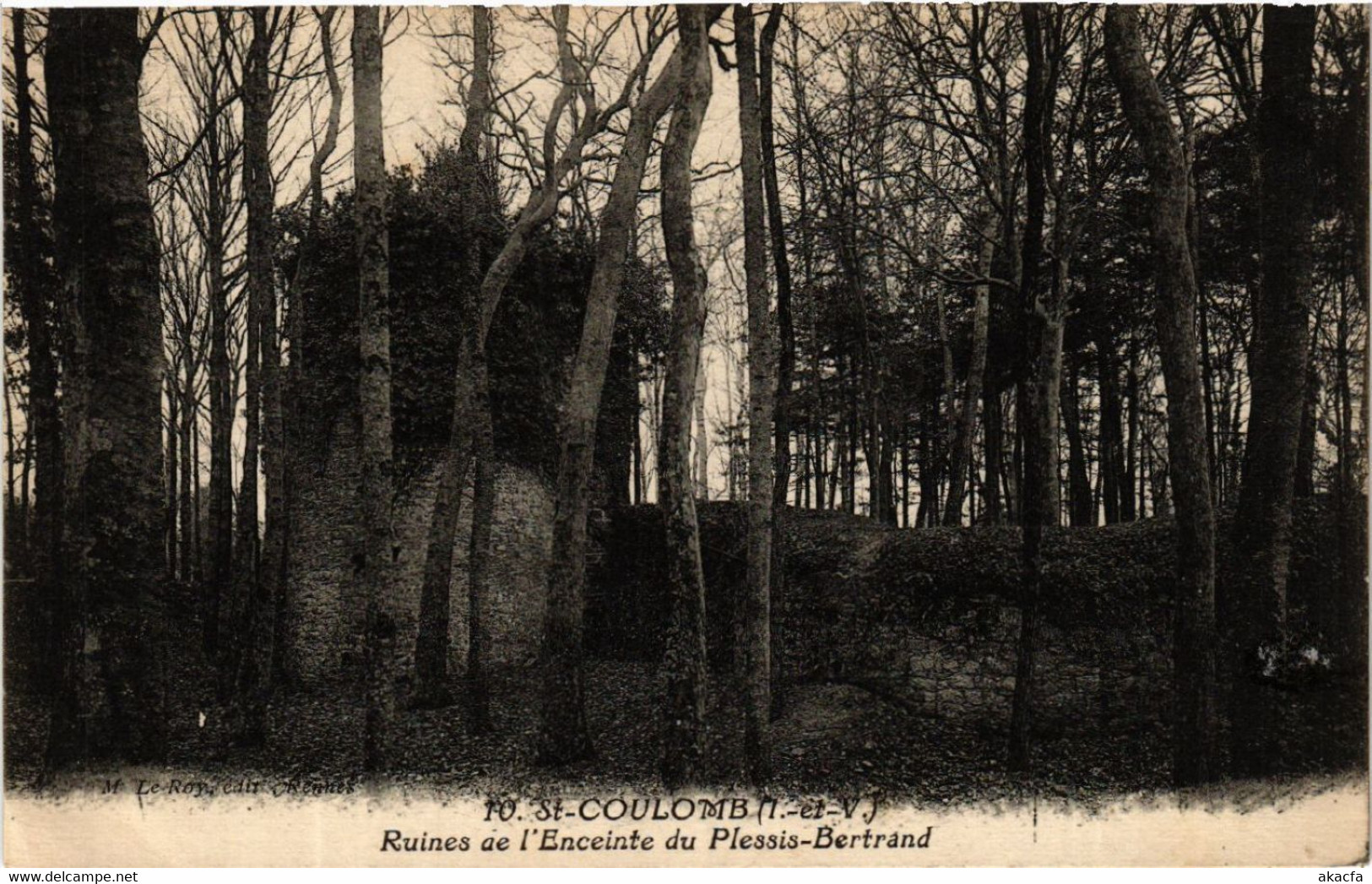 CPA St-COULOMB - Ruines De L'Enceinte Du Plessis-Bertrand (584488) - Saint-Coulomb