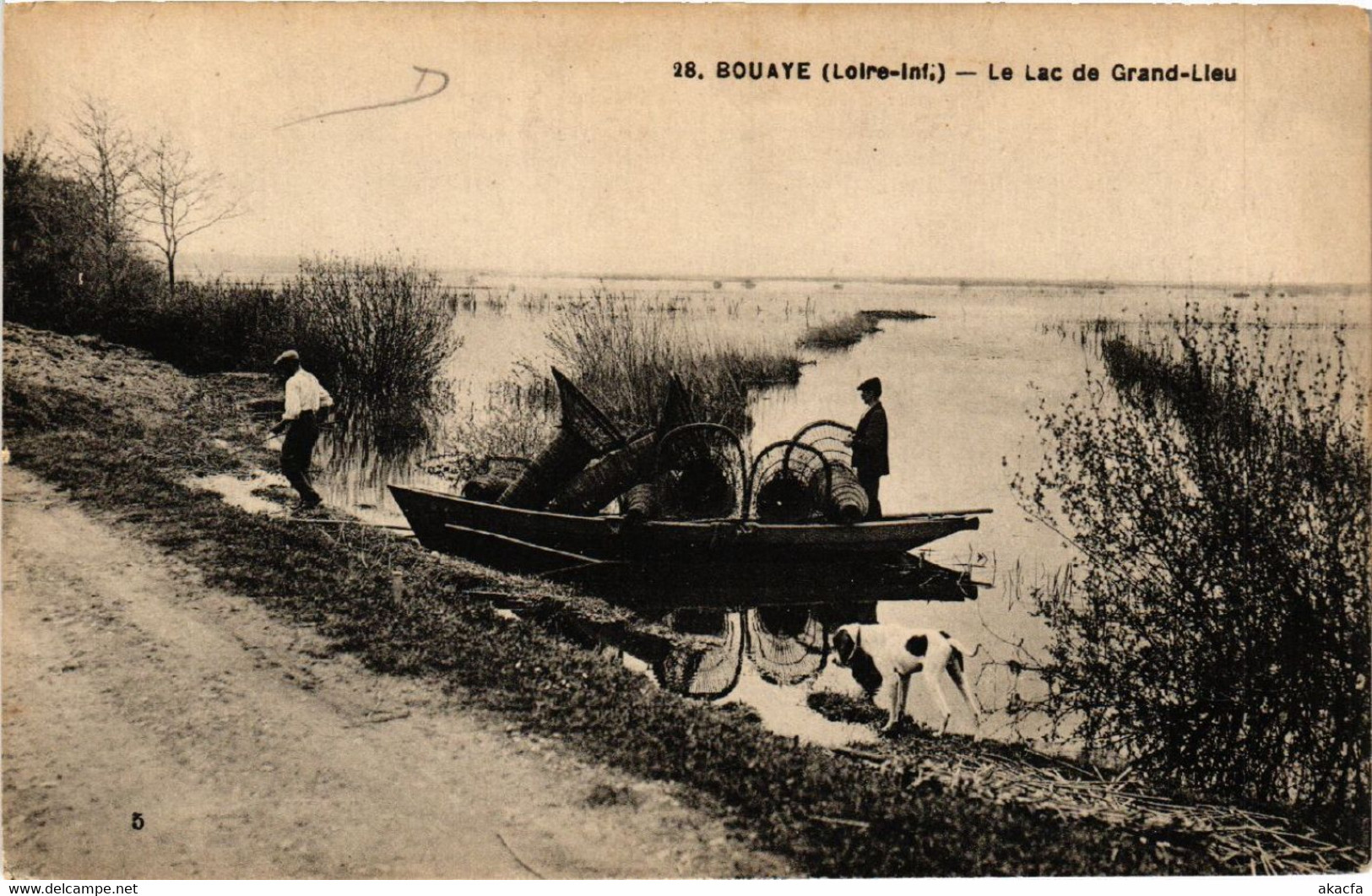 CPA BOUAYE - Le Lac De Grand-Lieu (587560) - Bouaye