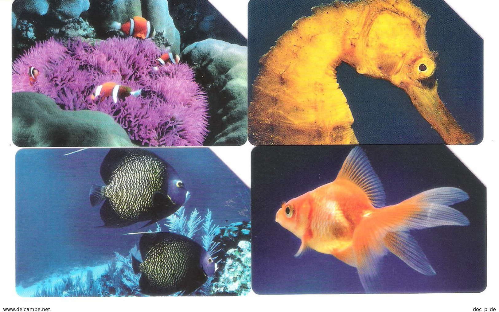 4 Card Set - Italy - 1575 - 1578 Golden - L`atollo - Underwater Sea Life - Fish - Fisch - 31.12.04 - Only 30.000ex. - Öff. Themen-TK