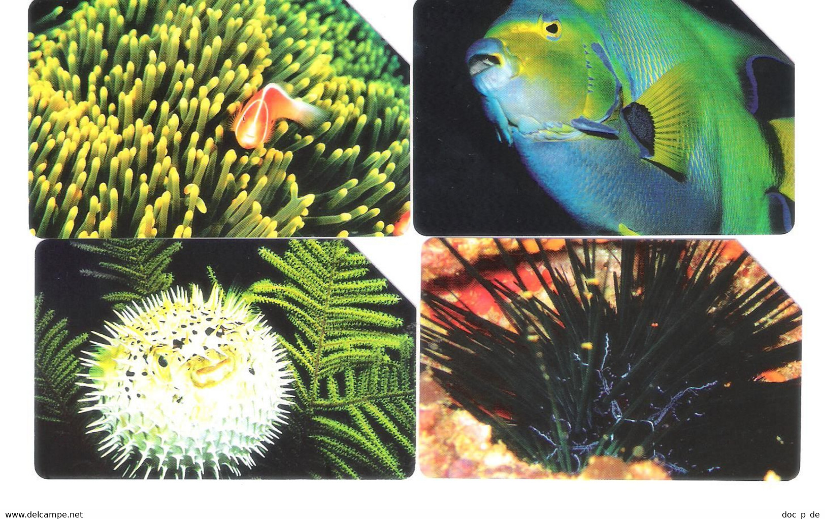 4 Card Set - Italy - 1557 - 1560 Golden - L`atollo - Underwater Sea Life - Fish - Fisch - 31.12.04 - Only 30.000ex. - Public Themes