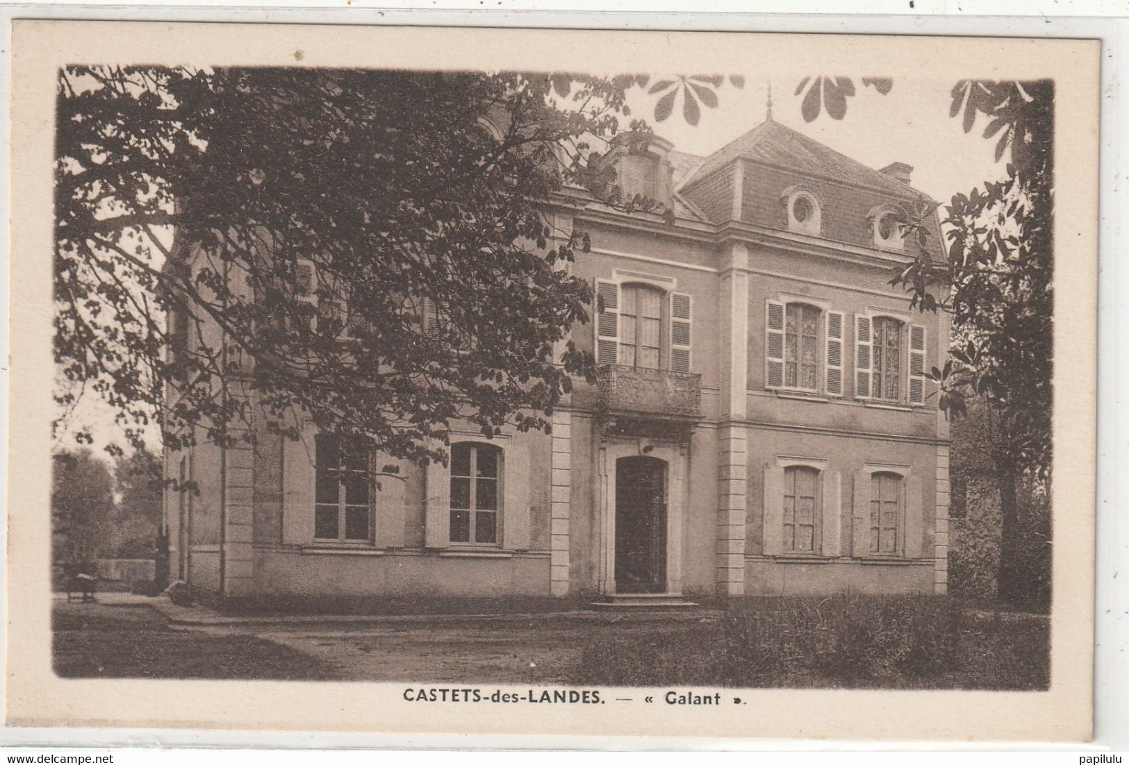 DEPT 40 : Castets Des Landes , Villa " Galant " : Photo E Vignes A Castets Des Landes - Castets