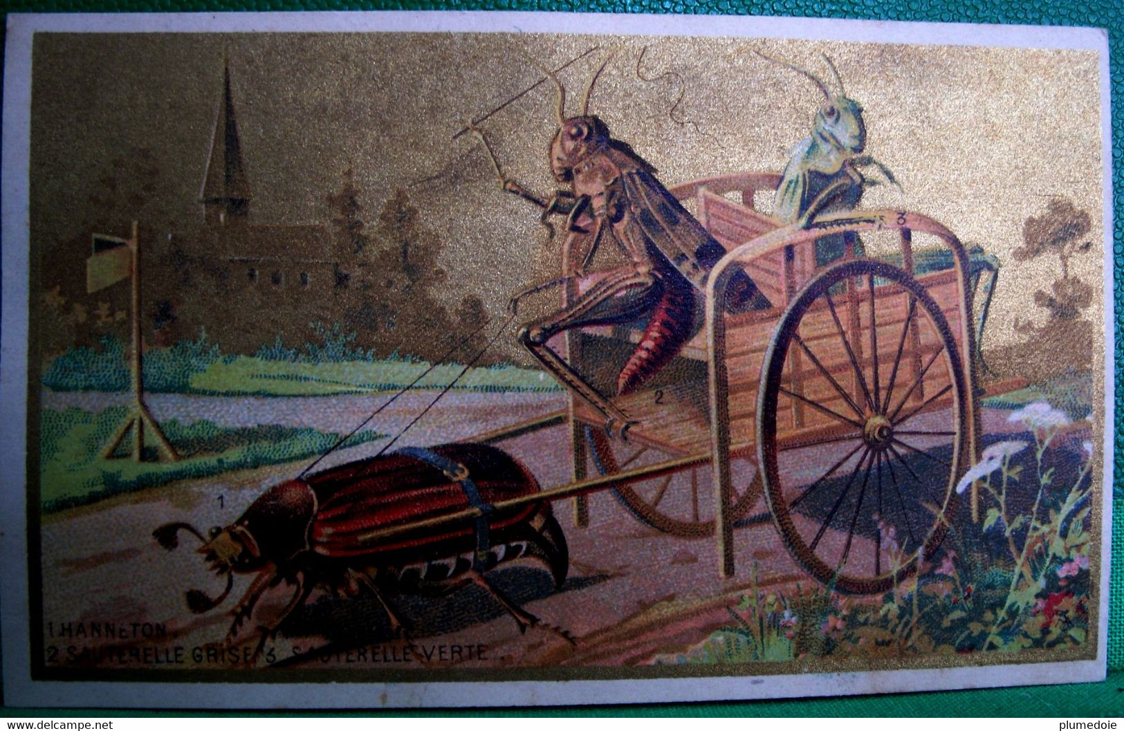 CHROMO XIX è, Rare, ATTELAGE HANNETON SAUTERELLE Humanisé   Old Advert Card DRESSED INSECT' CART  GRASSHOPER - Tiere