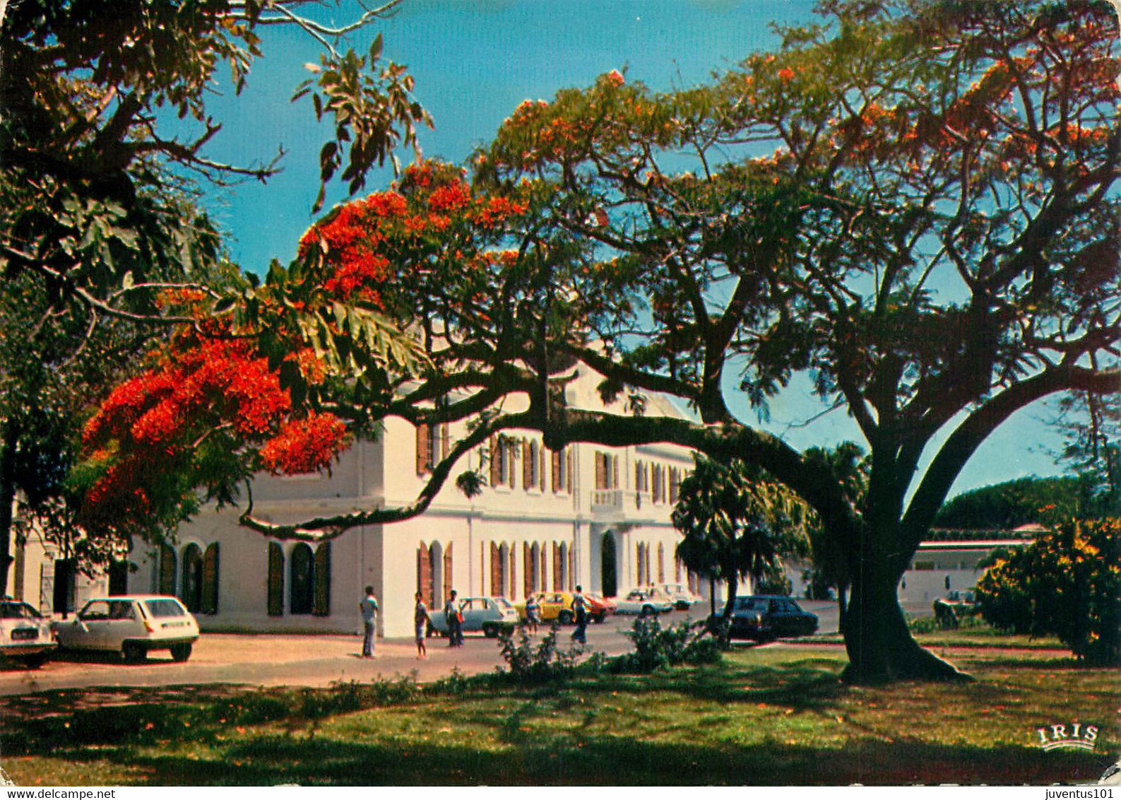 CPSM La Réunion-St Pierre-La Mairie      L1875 - Saint Pierre