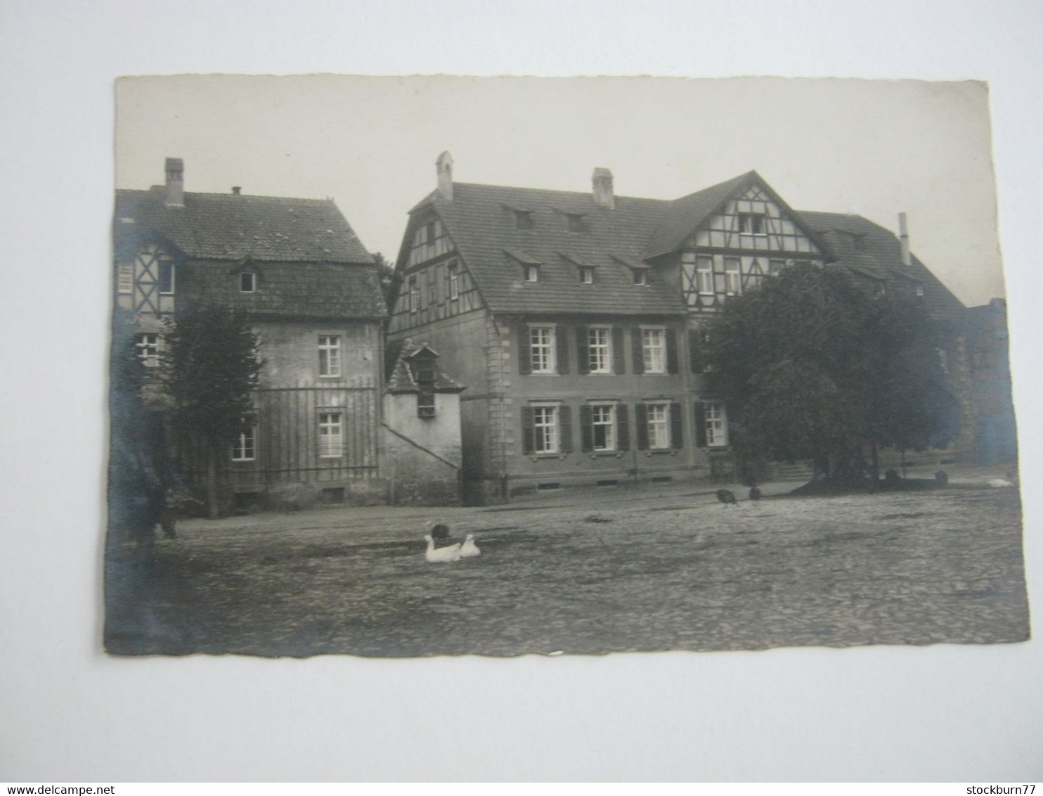 WARBURG , Fotokarte ,  Schöne Karte  Um 1925 - Warburg