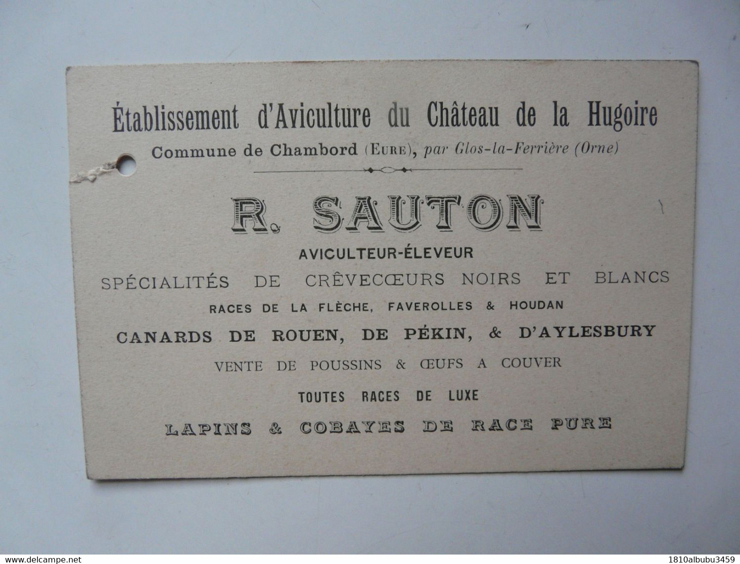 VIEUX PAPIERS - CARTE DE VISITE : Etablissement D'AVICULTURE Du Château De La HUGOIRE - R. SAUTON - Crèvecoeurs - Cartes De Visite