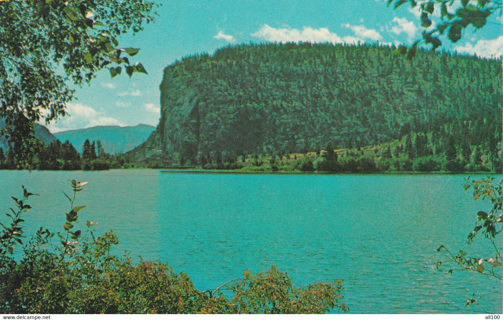 A20947 - MACINTYRE BLUFF NEAR OLIVER BRITISH COLUMBIA CANADA POST CARD UNUSED GIBBONS PACIFIC COLOR SERVICE VANCOUVER - Oliver