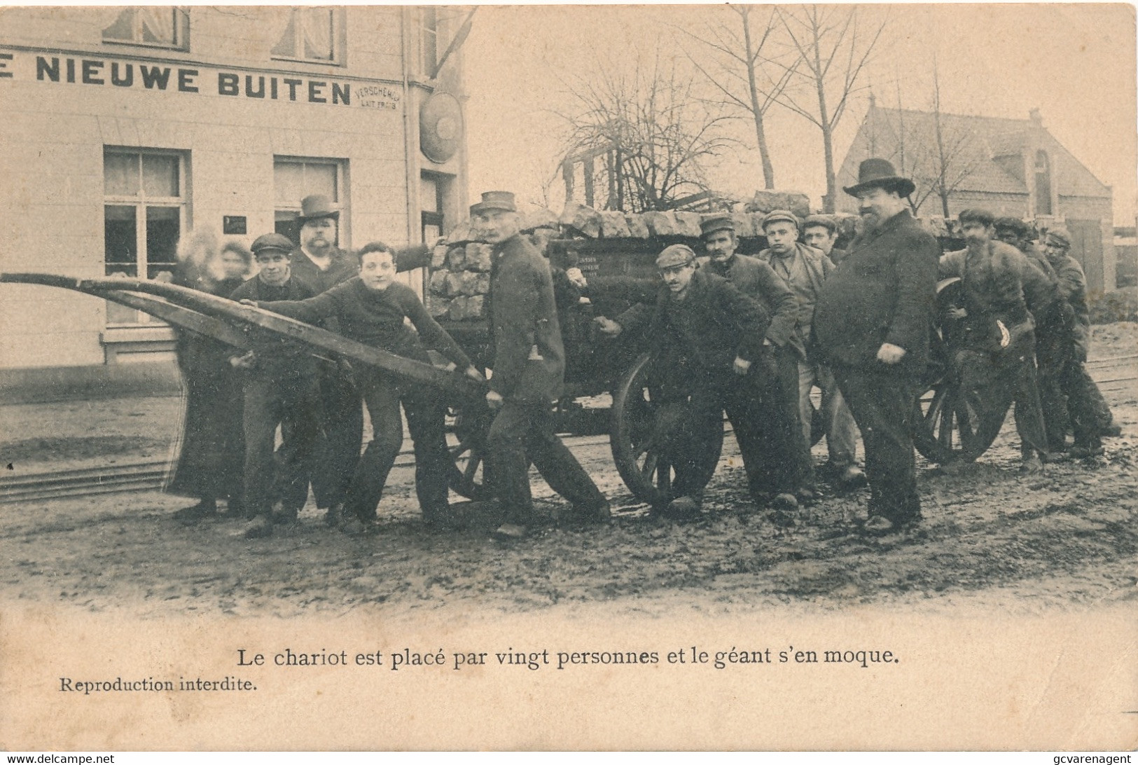 WUUSTWEZEL  STERKE BEER P.JANSSEN  - LE CHARIOT EST PLACE PAR VINGT PERSONNES ET LE GEANT S'EN MOQUE   3 KAARTEN - Wuustwezel