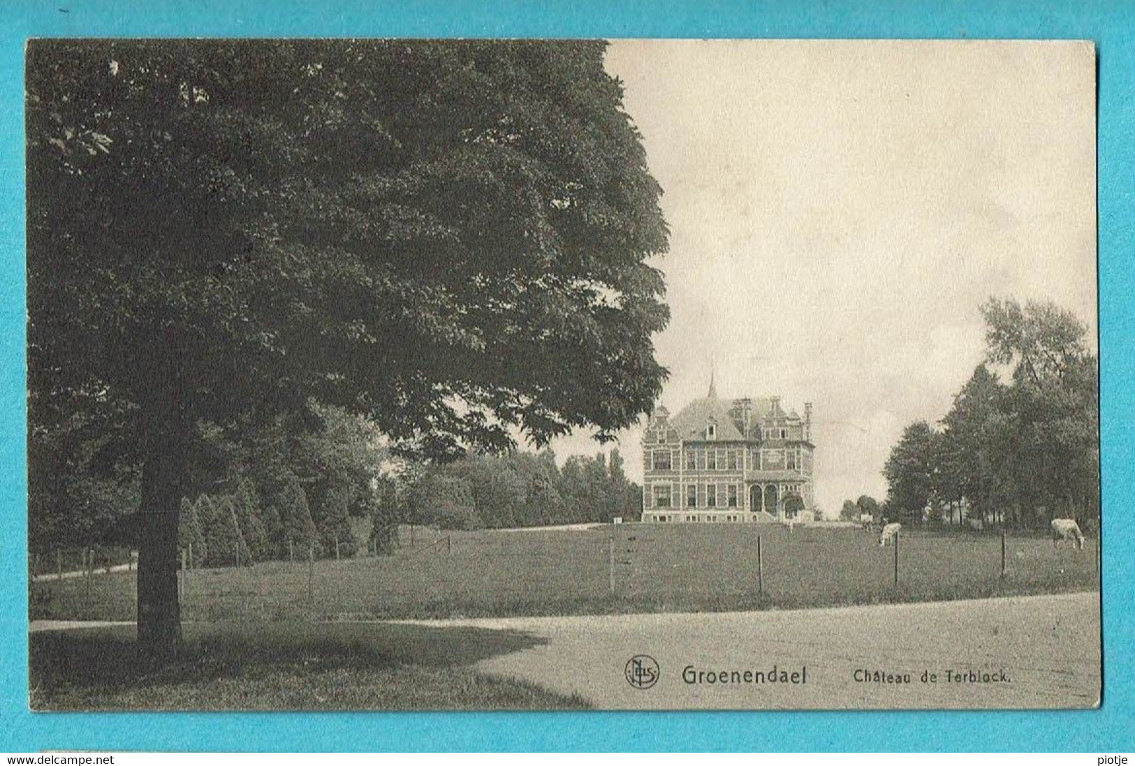 * Groenendael - Groenendaal (Hoeilaart - Vlaams Brabant) * (Nels) Chateau De Terblock, Kasteel, Schloss, TOP - Hoeilaart