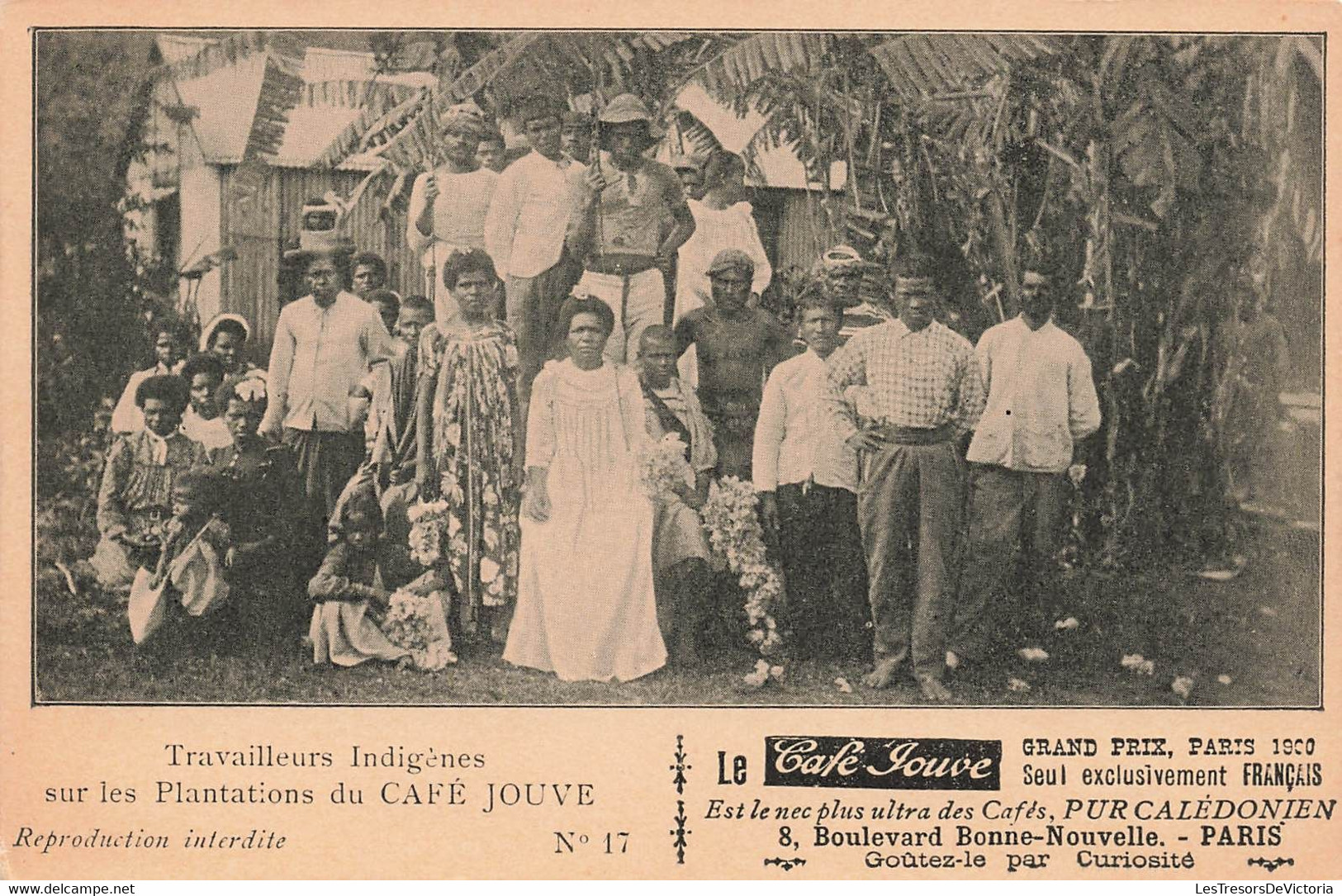 CPA NOUVELLE CALEDONIE -  Travailleurs Indigenes Sur Les Plantations Du Café Jouve N°17 - Publicité Café Jouve - Nouvelle-Calédonie