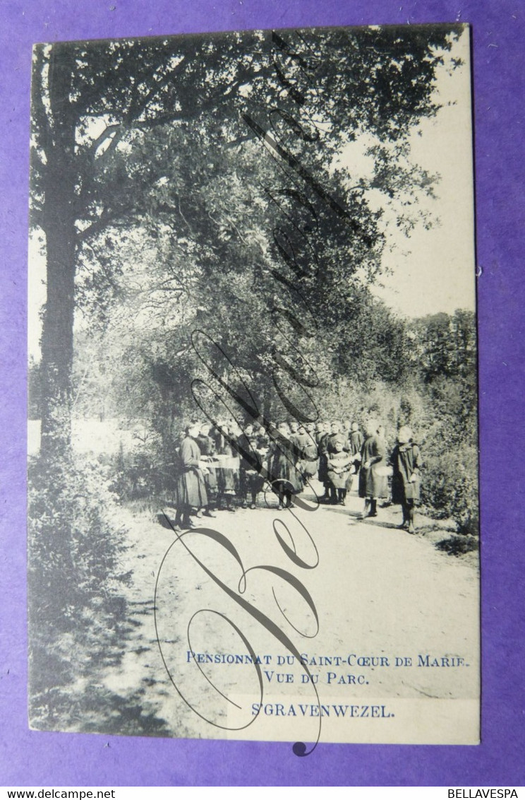 S'Gravenwezel Pensionnat Du Sacré-Coeur De Marie - Vue Au Parc - Schilde