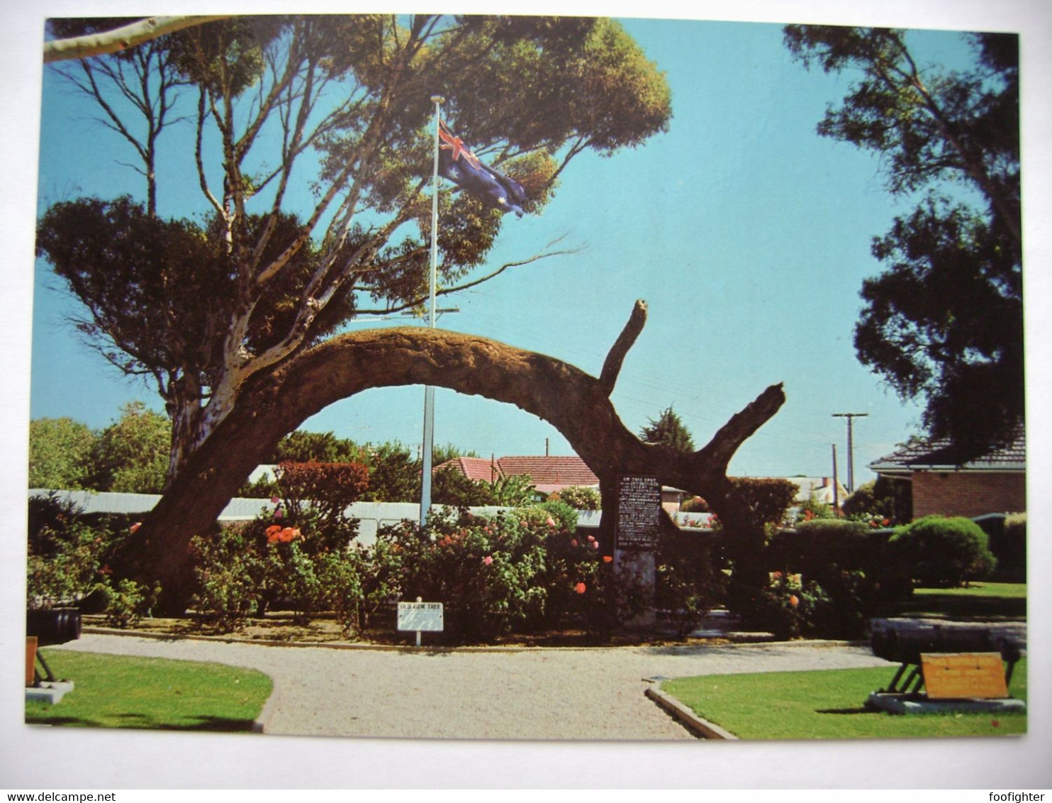 Glenelg (suburb Of Adelaide) - Old Gum Tree - Adelaide