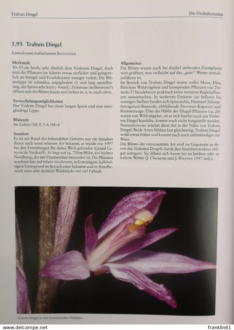 Orchideen. Die Orchideen Mitteleuropas und der Alpen.