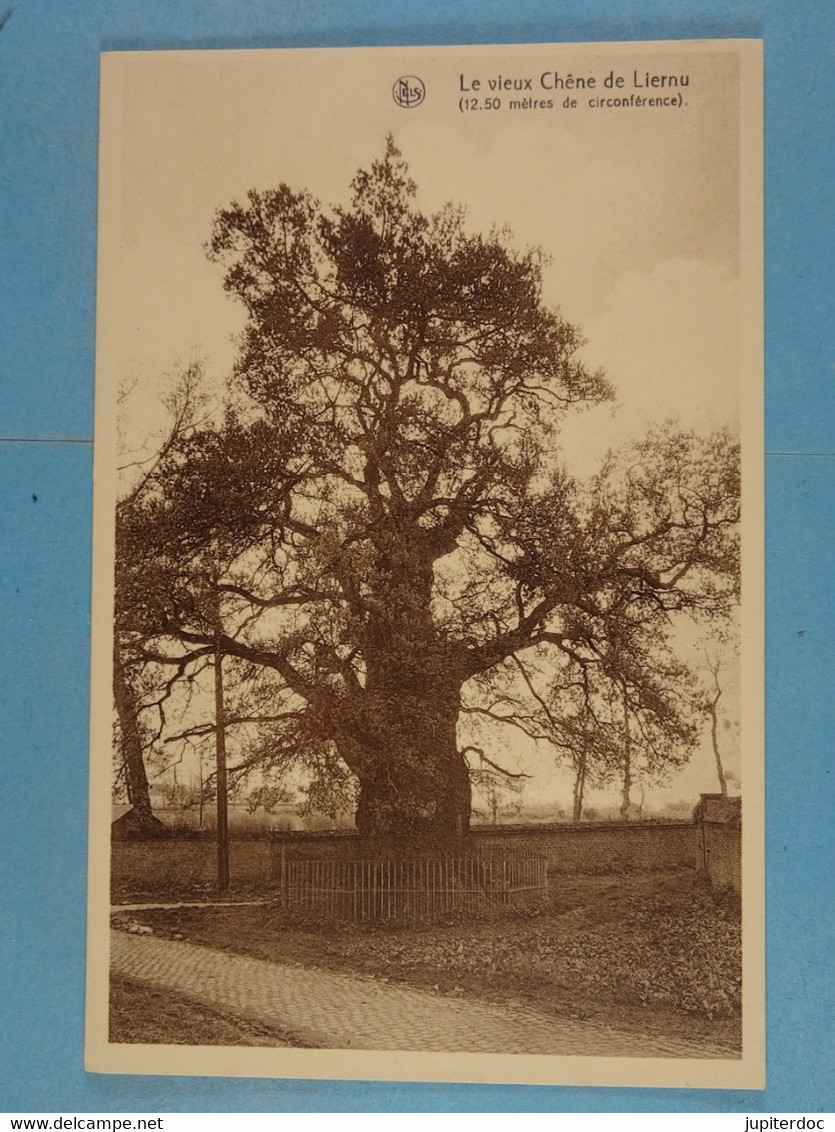 Le Vieux Chêne De Liernu (12,50 Mètres De Circonférence) - Eghezée