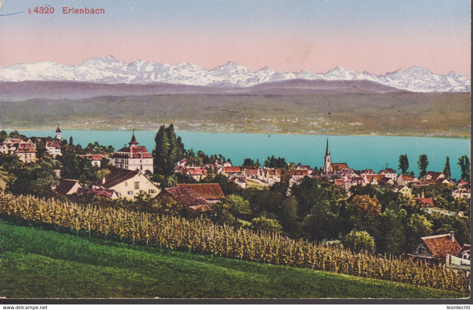 AK, 1920 Erlenbach ZH. Gelaufen Von  Küsnacht Nach Urwil SG. Mi: 138xII / ZNr. 138II - Erlenbach