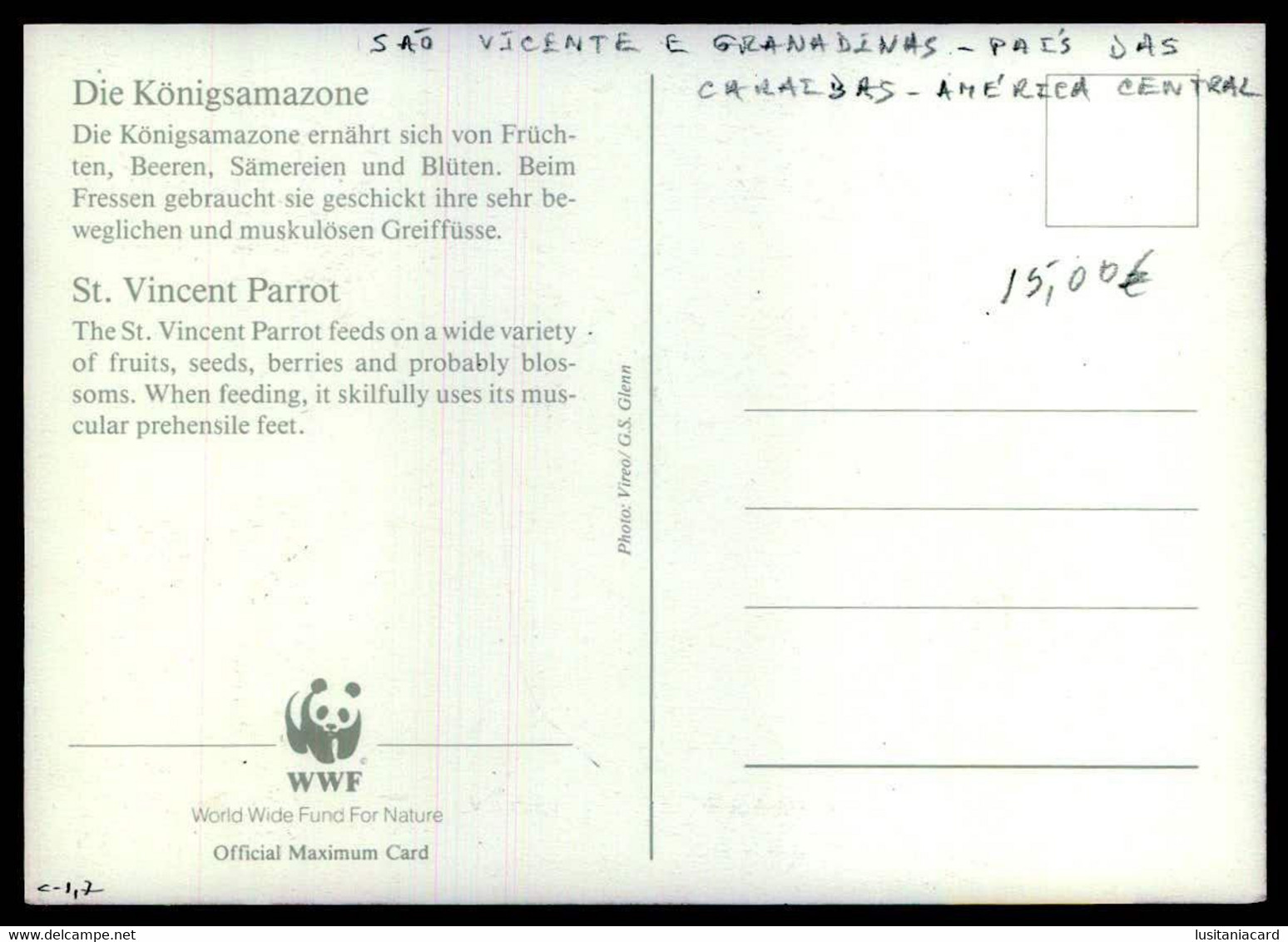 SÃO VICENTE E GRANADINAS - FILATELIA - MÁXIMOS - Parrot.  (Ed. WWF / Photo: Vireo / G.S.Glenn) Carte Postale - St. Vincent Und Die Grenadinen