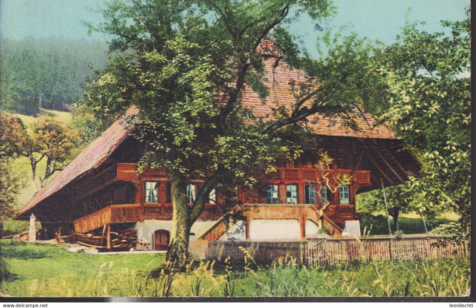 AK, 1915 Hübsch Im Grünen, Emmentaler Bauernhaus In Grünenmatt B. Trachselwald. Kunstmotive N°. 8024 - Wald