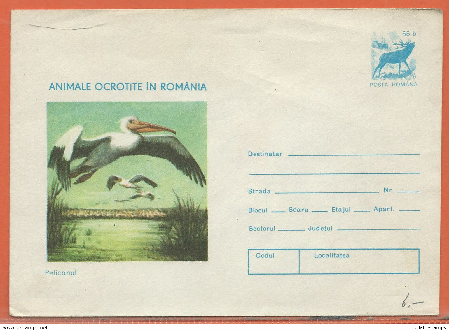 OISEAUX PELICANS ROUMANIE ENTIER POSTAL DE 1977 - Pelicans