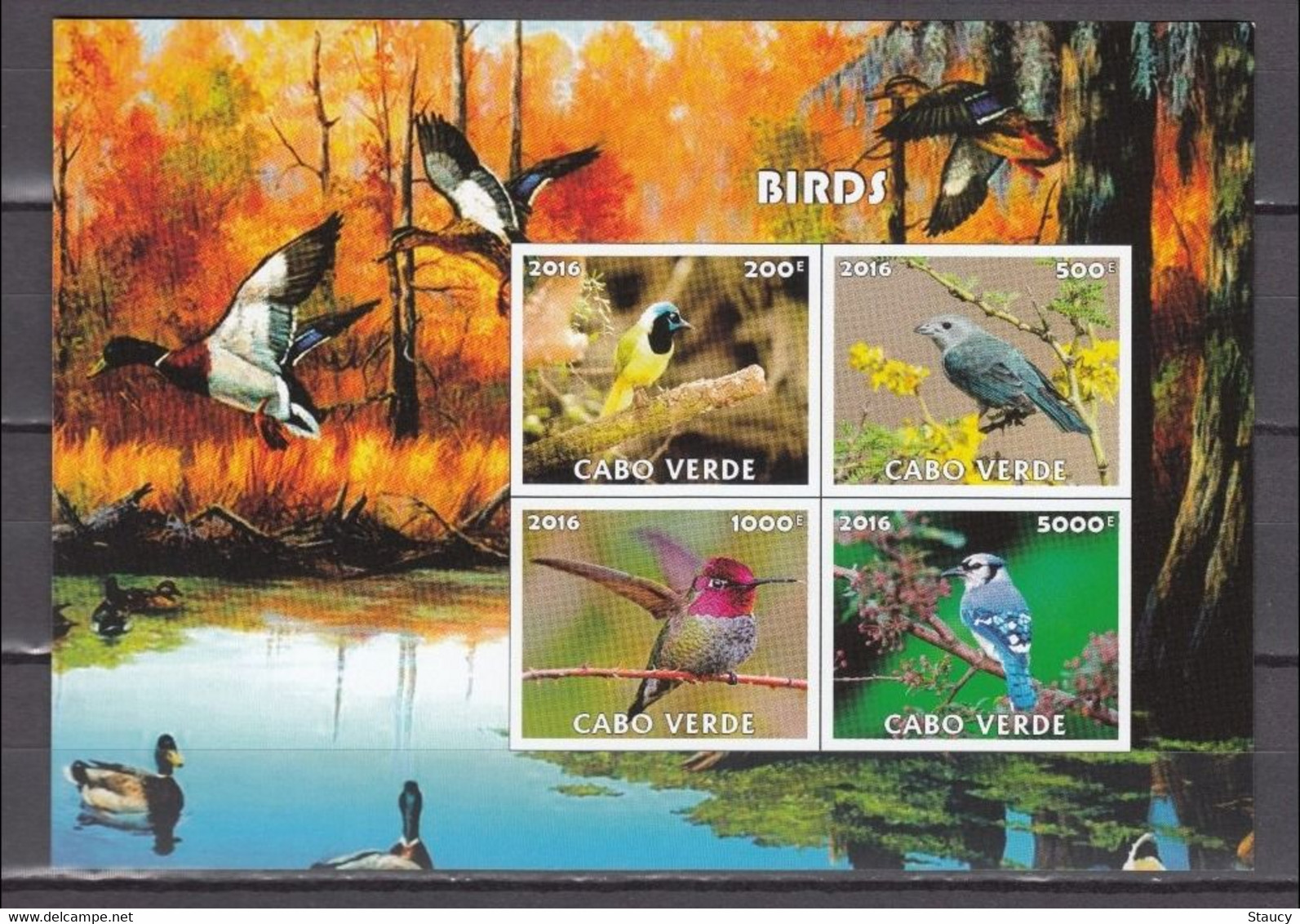 Cabo Verde 2016 BIRDS 4v MINIATURE SHEET MNH As Per Scan - Gänsevögel