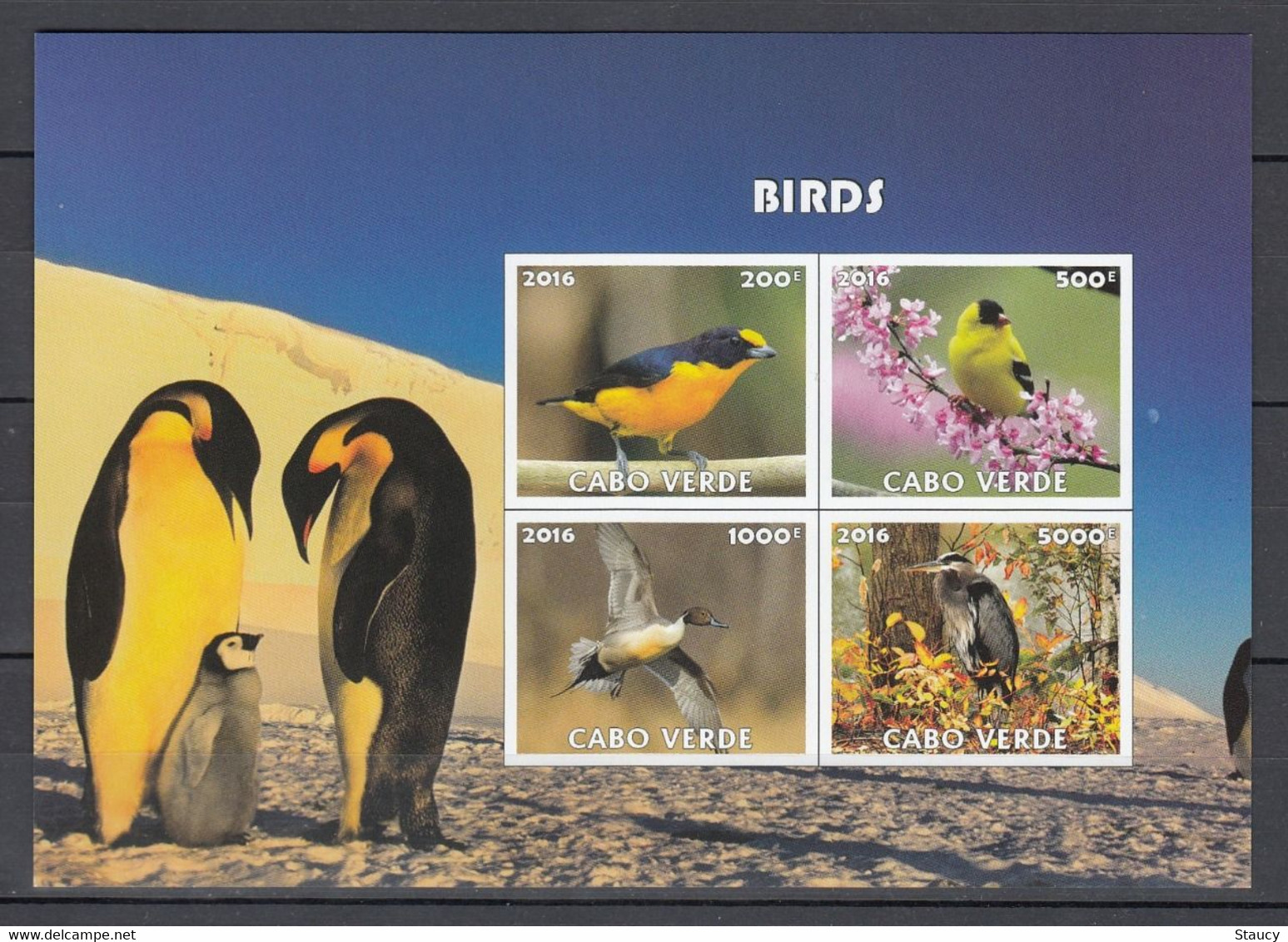 Cabo Verde 2016 BIRDS 4v MINIATURE SHEET MNH As Per Scan - Oies