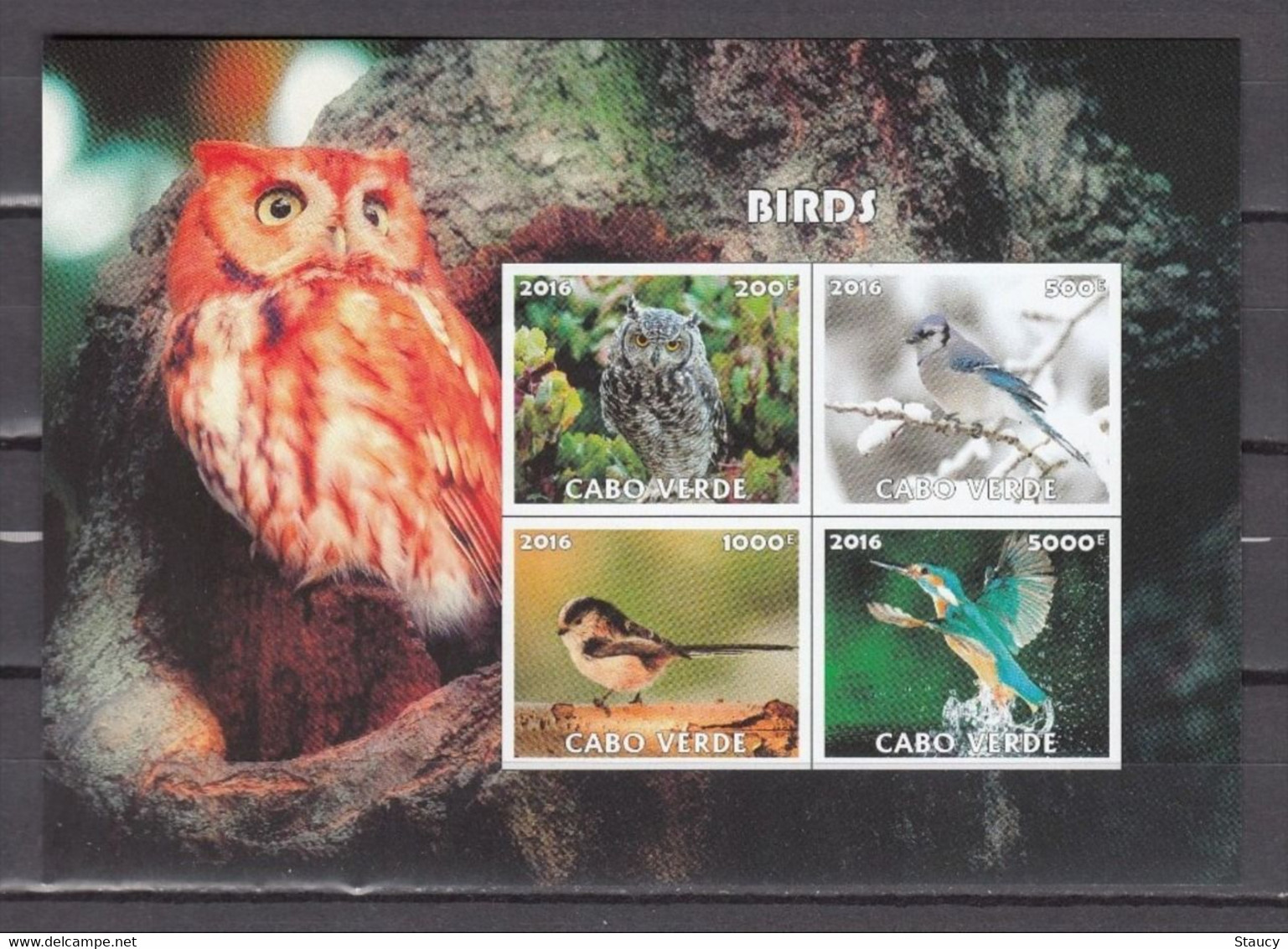 Cabo Verde 2016 BIRDS 4v MINIATURE SHEET MNH As Per Scan - Ganzen