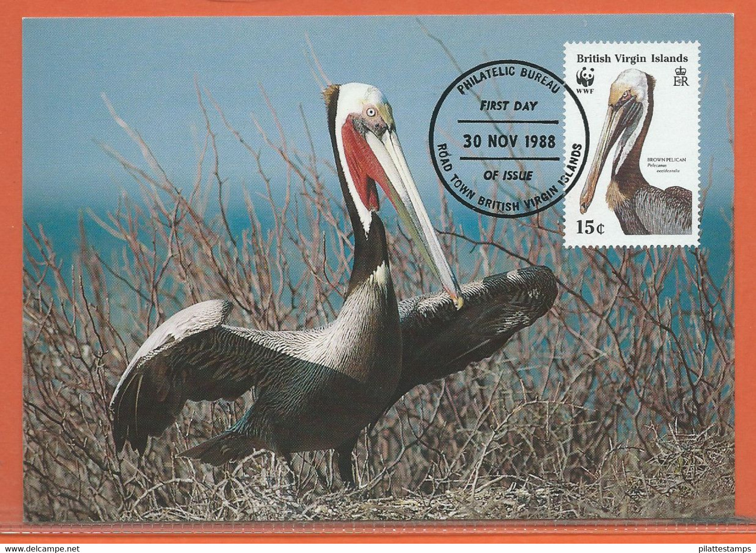 OISEAUX PELICANS VIERGES 4 CARTES FDC WWF DE 1988 - Pélicans