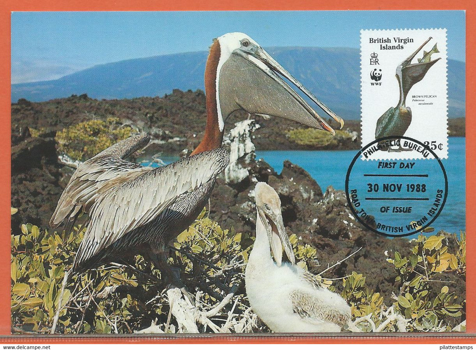 OISEAUX PELICANS VIERGES 4 CARTES FDC WWF DE 1988 - Pélicans