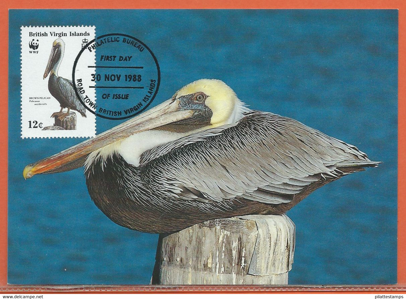 OISEAUX PELICANS VIERGES 4 CARTES FDC WWF DE 1988 - Pélicans