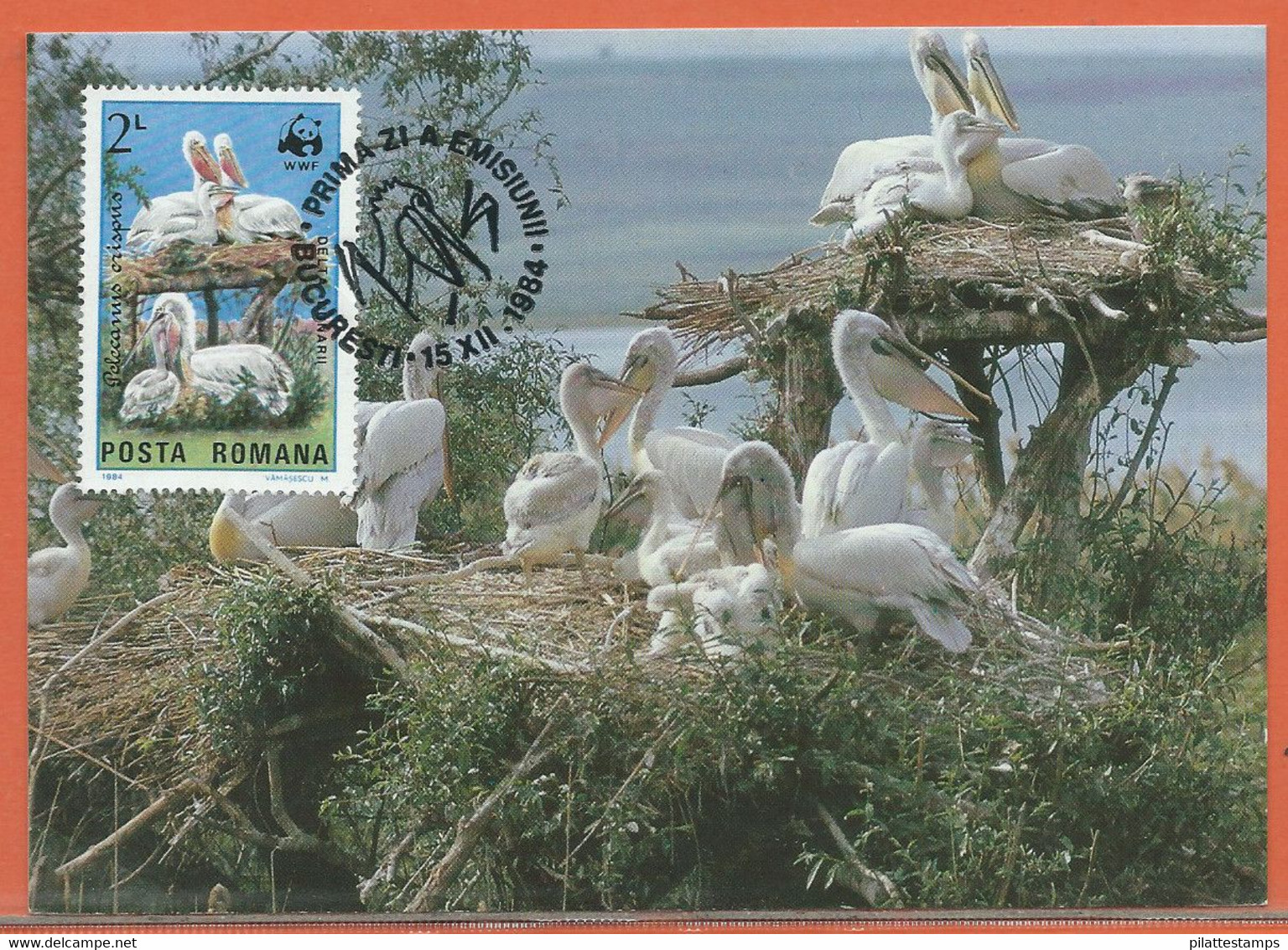 OISEAUX PELICANS ROUMANIE 4 CARTES FDC WWF DE 1984 - Pelicans