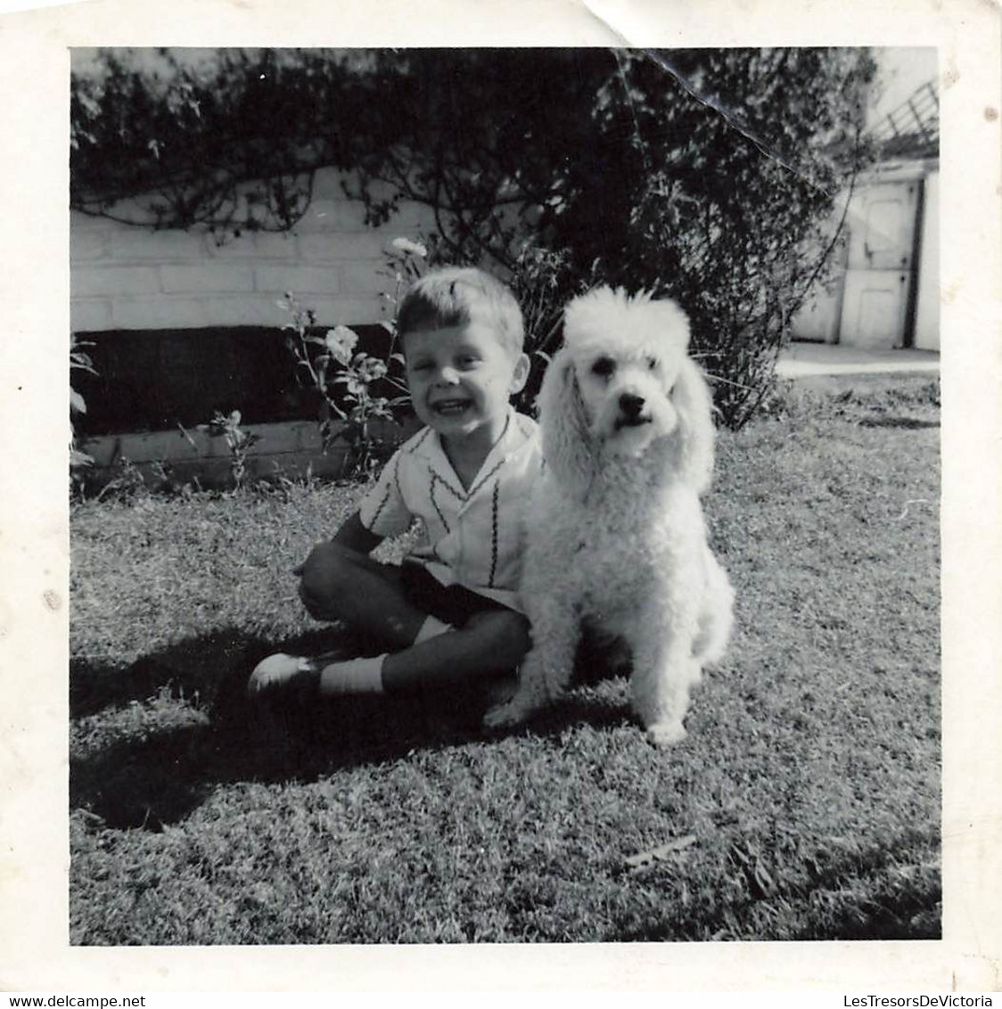 Lot De 2 Photographies De Deux Garçons Avec Leur Chien - Petites Photos - Sonstige & Ohne Zuordnung