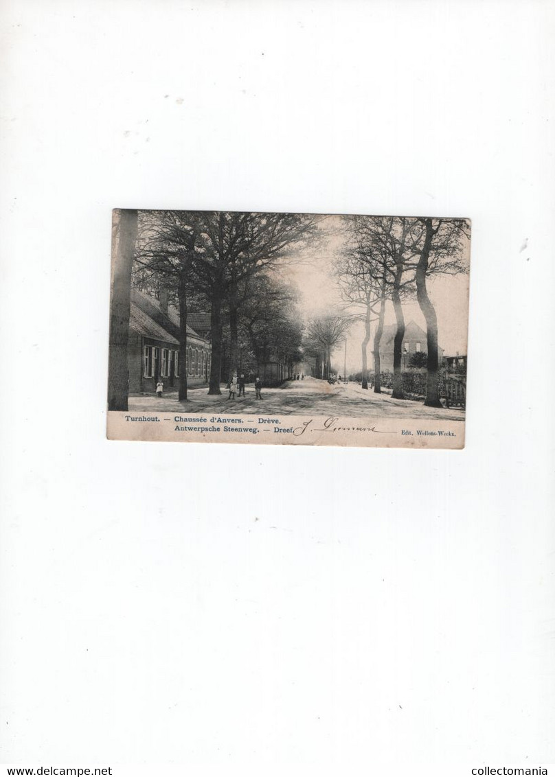 1 Oude Postkaart Turnhout Antwerpsche Steenweg Dreef Halte Stoomtram  1905 - Turnhout