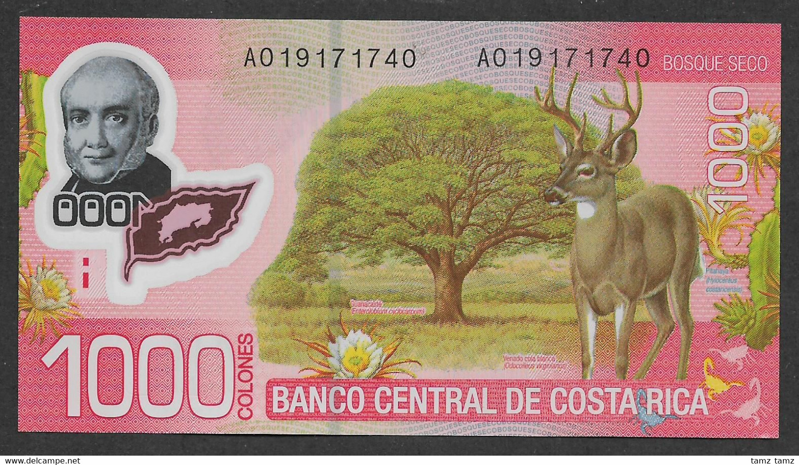 Costa Rica 1 Mil 1000 1,000 Colones A Series Polymer 2009 UNC - Costa Rica