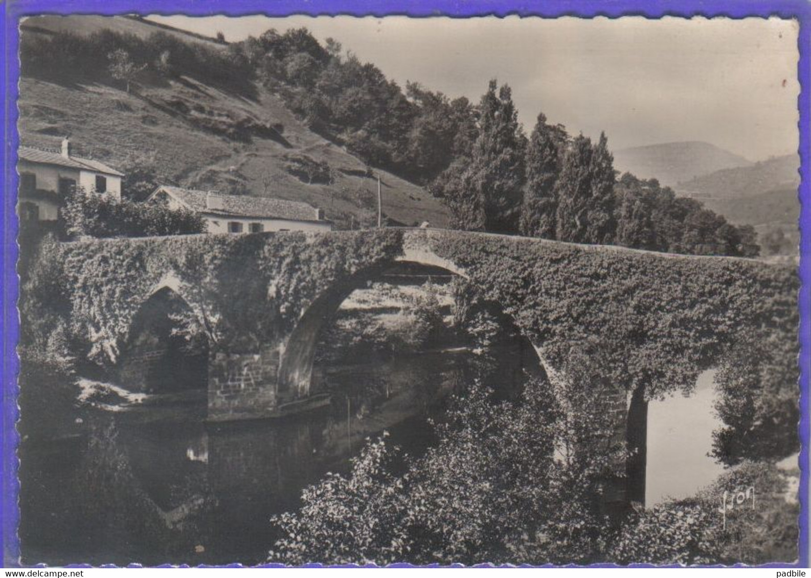 Carte Postale 64. Bidarray  Le Pont Romain   Très Beau Plan - Bidarray