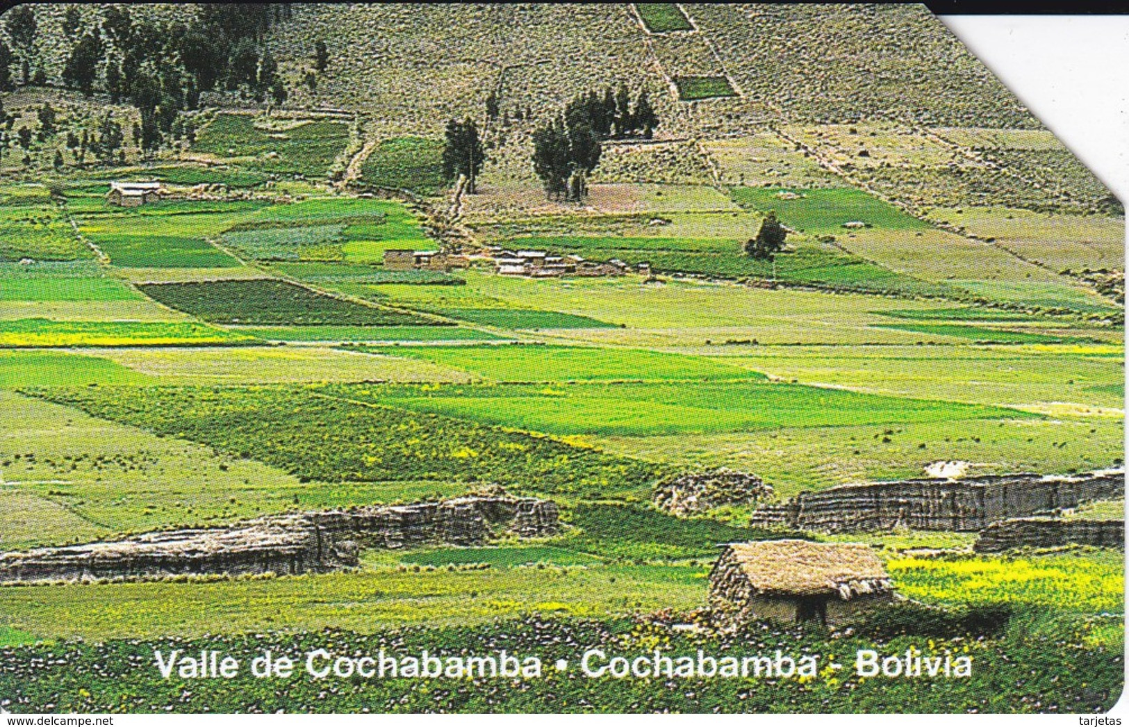 TARJETA DE BOLIVIA DE ENTEL DEL VALLE DE COCHABAMBA - Bolivie