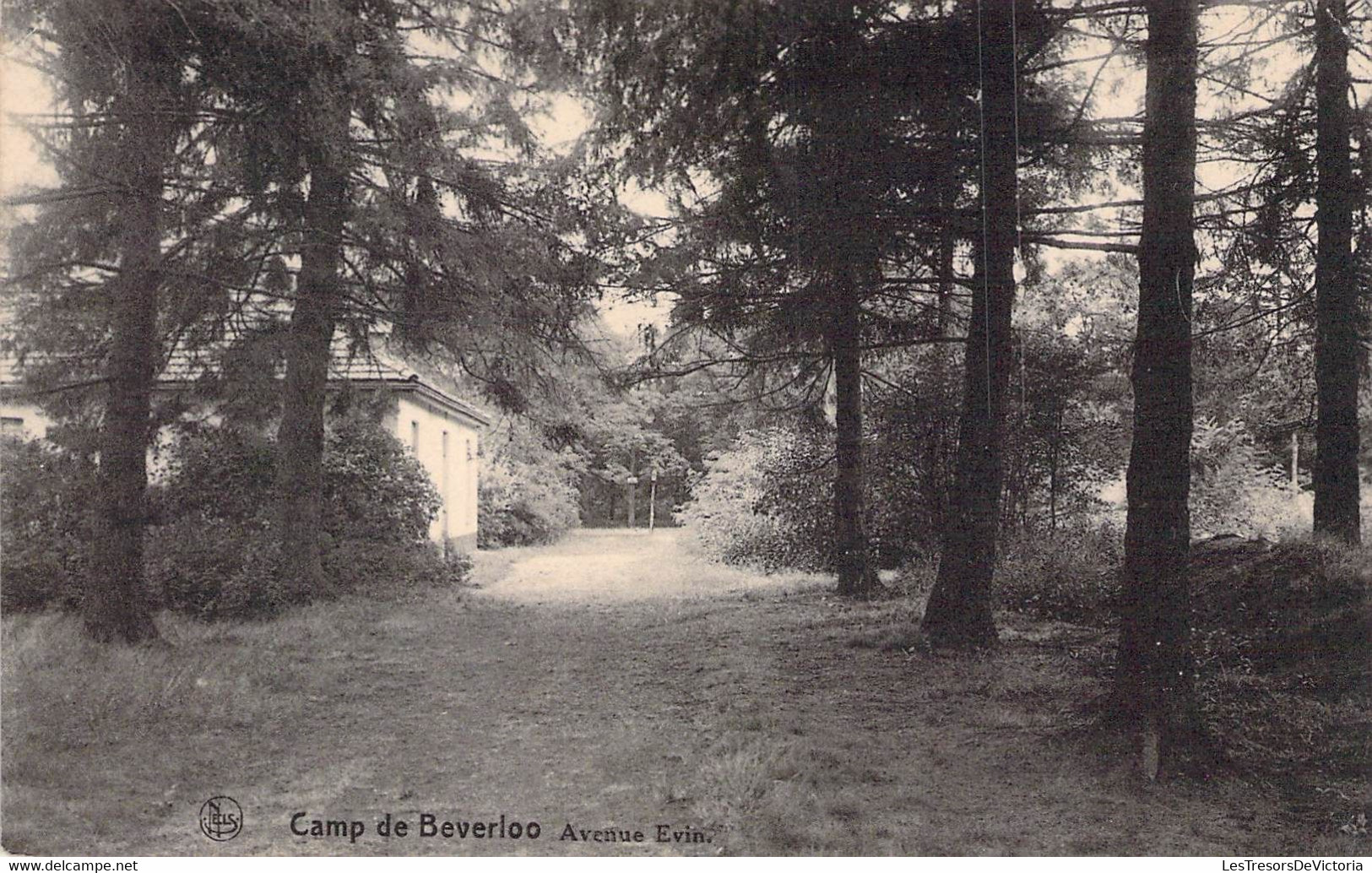 CPA MILITARIAT - Camp De Beverloo - Avenue Evin - Niels - Barracks