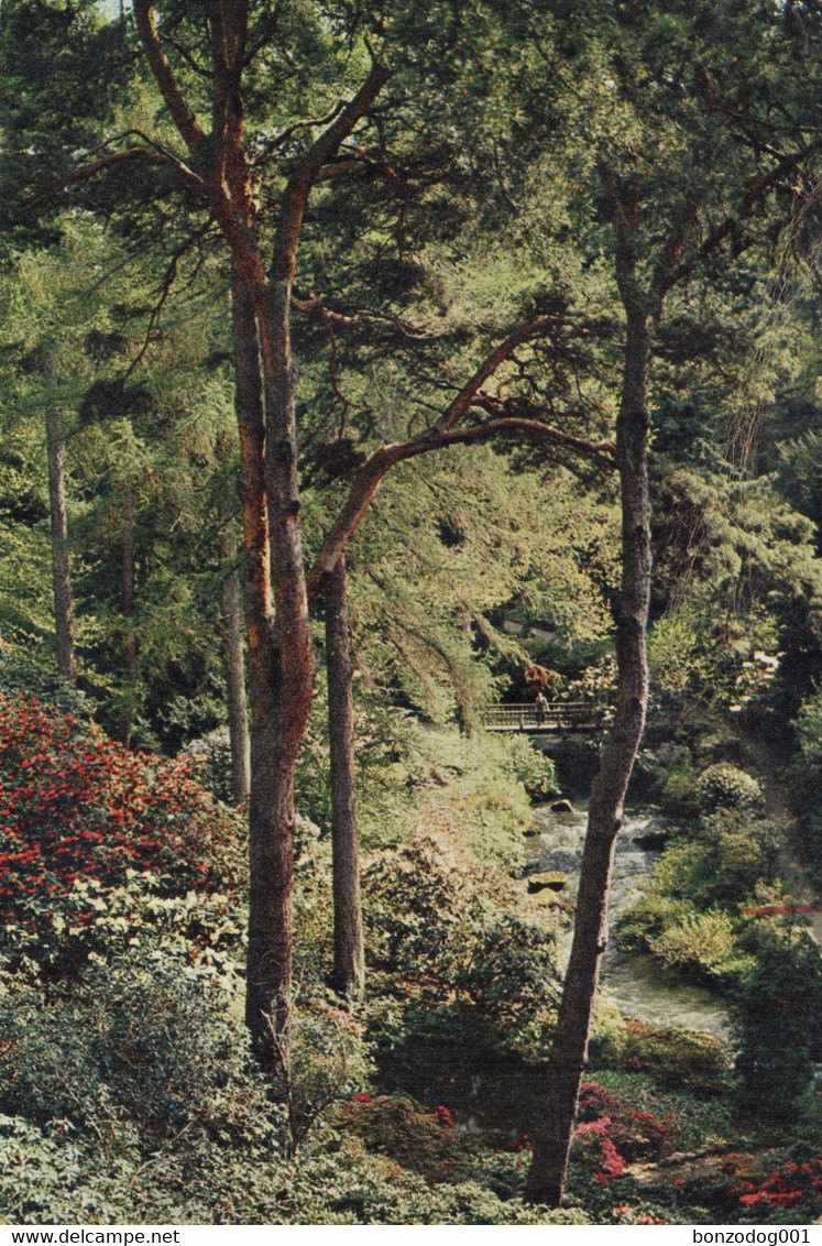 View Down To The Dell, Bodnant, Denbighshire, Wales. Unposted - Denbighshire