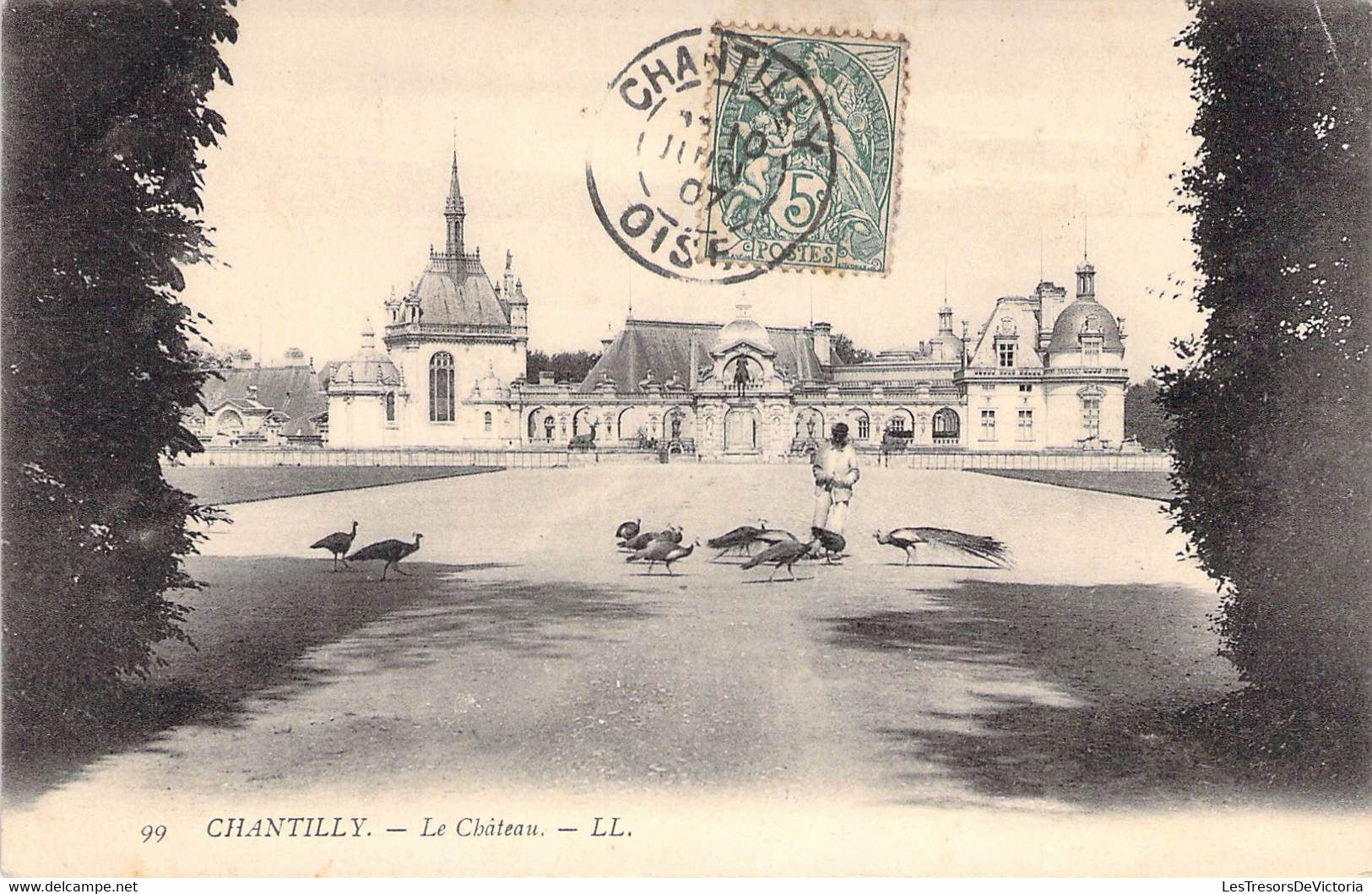 CPA France - Oise - Chantilly - Le Château - Oblitérée Juin 1907 - Paon - Animaux - Animée - L. L. - Chantilly